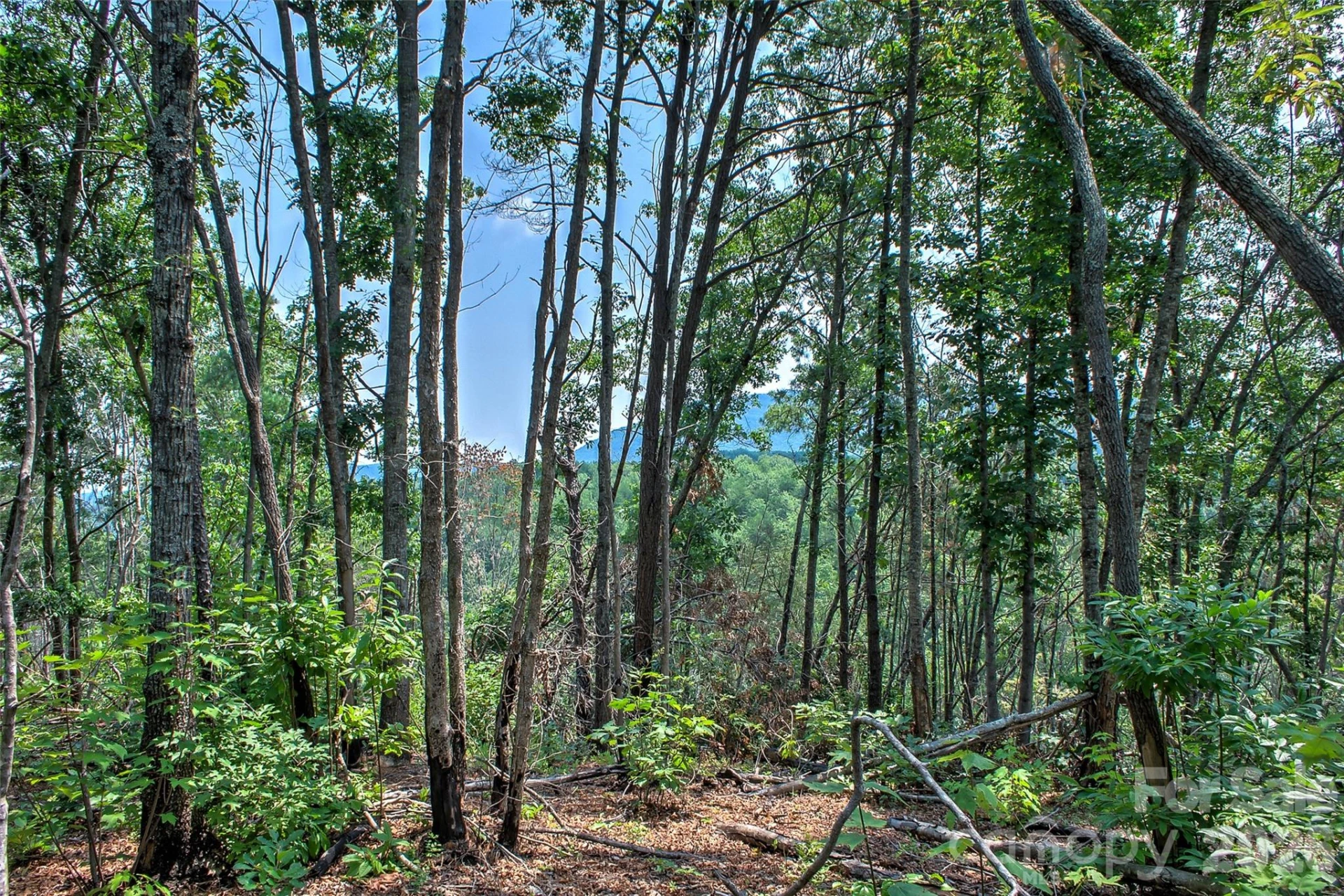 3815 Bat Cave Road - Photo 42