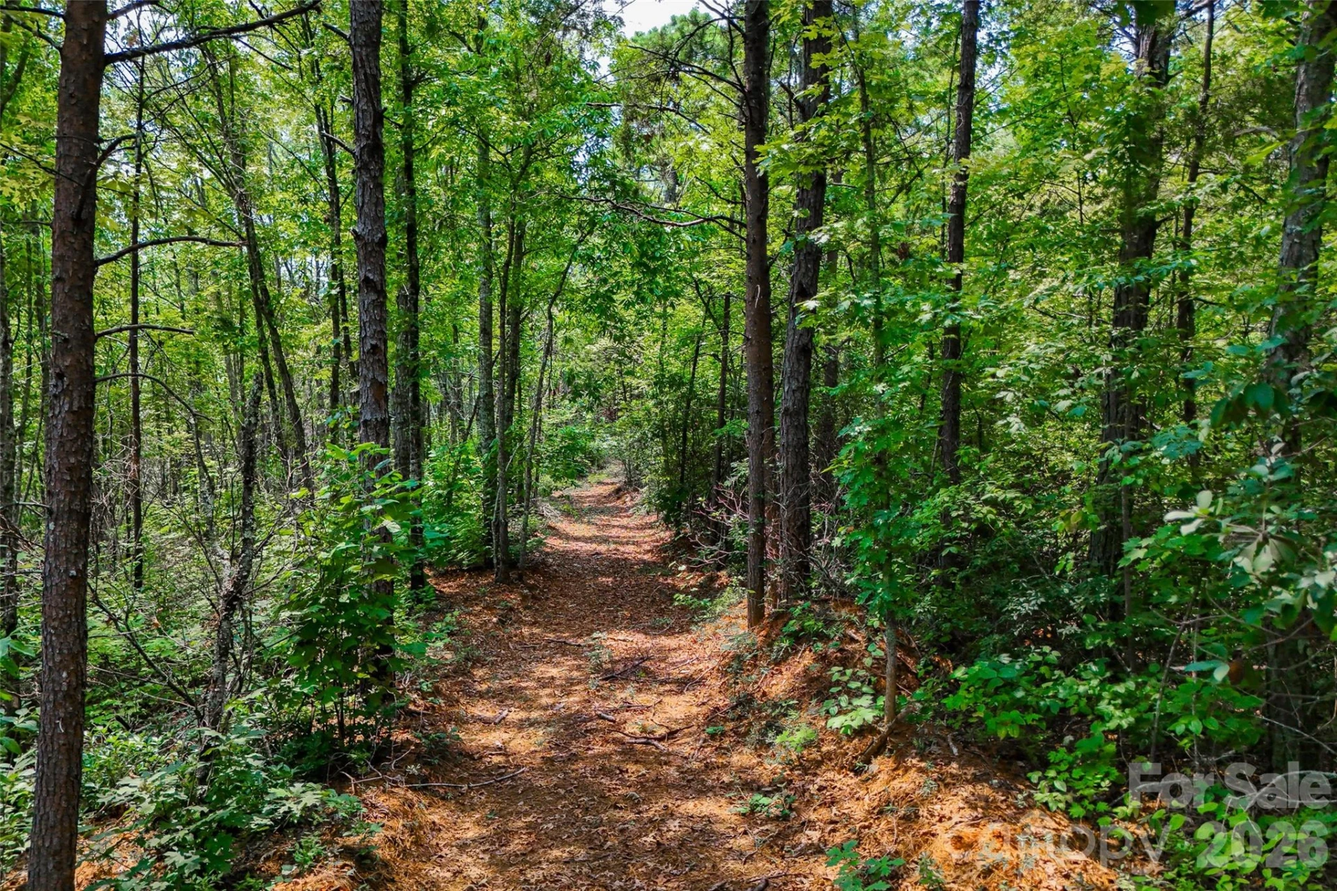 3815 Bat Cave Road - Photo 43