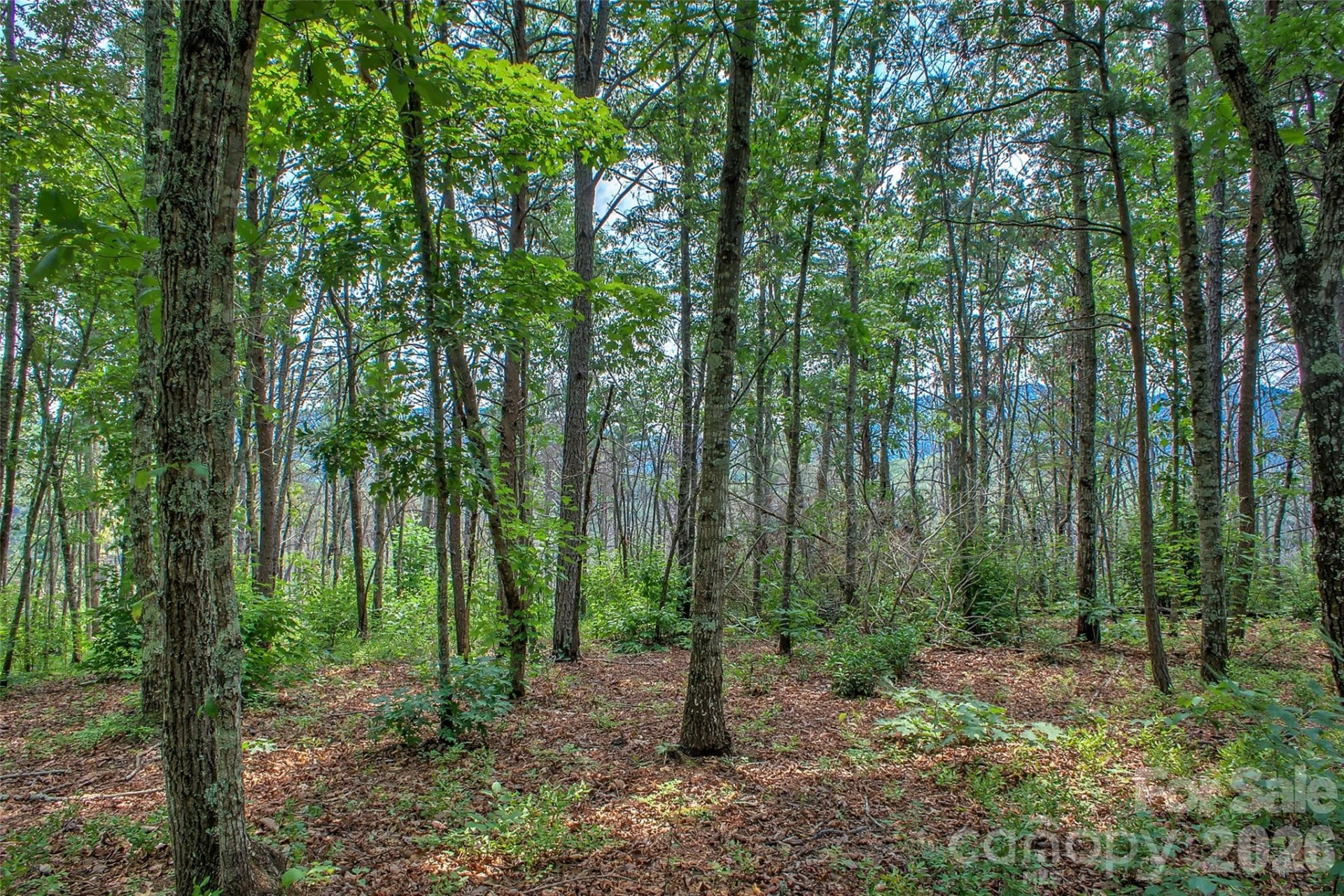 3815 Bat Cave Road - Photo 44