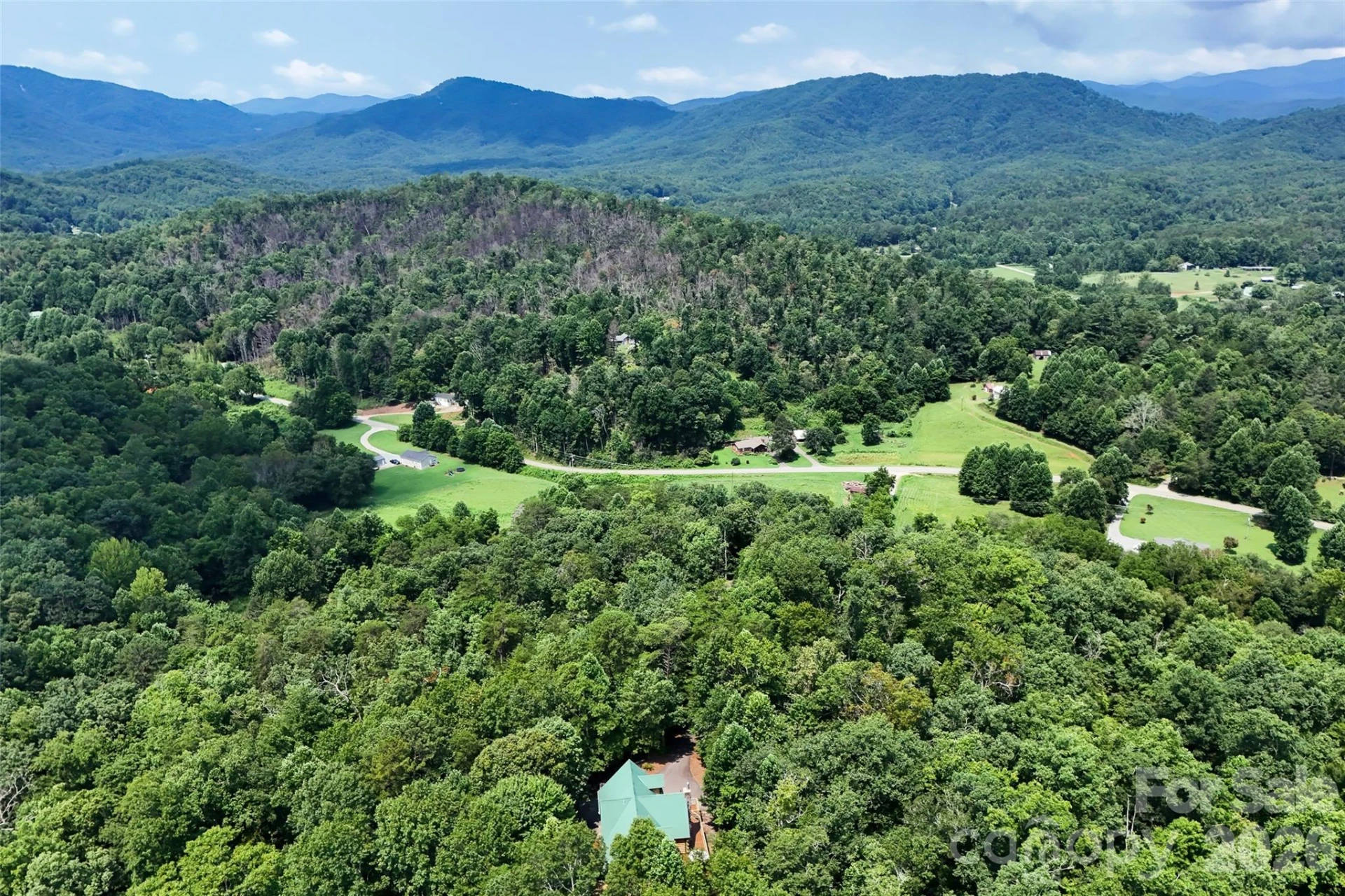3815 Bat Cave Road - Photo 47