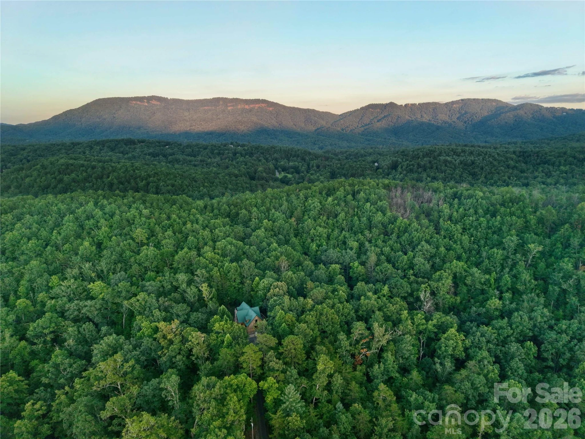 3815 Bat Cave Road - Photo 48
