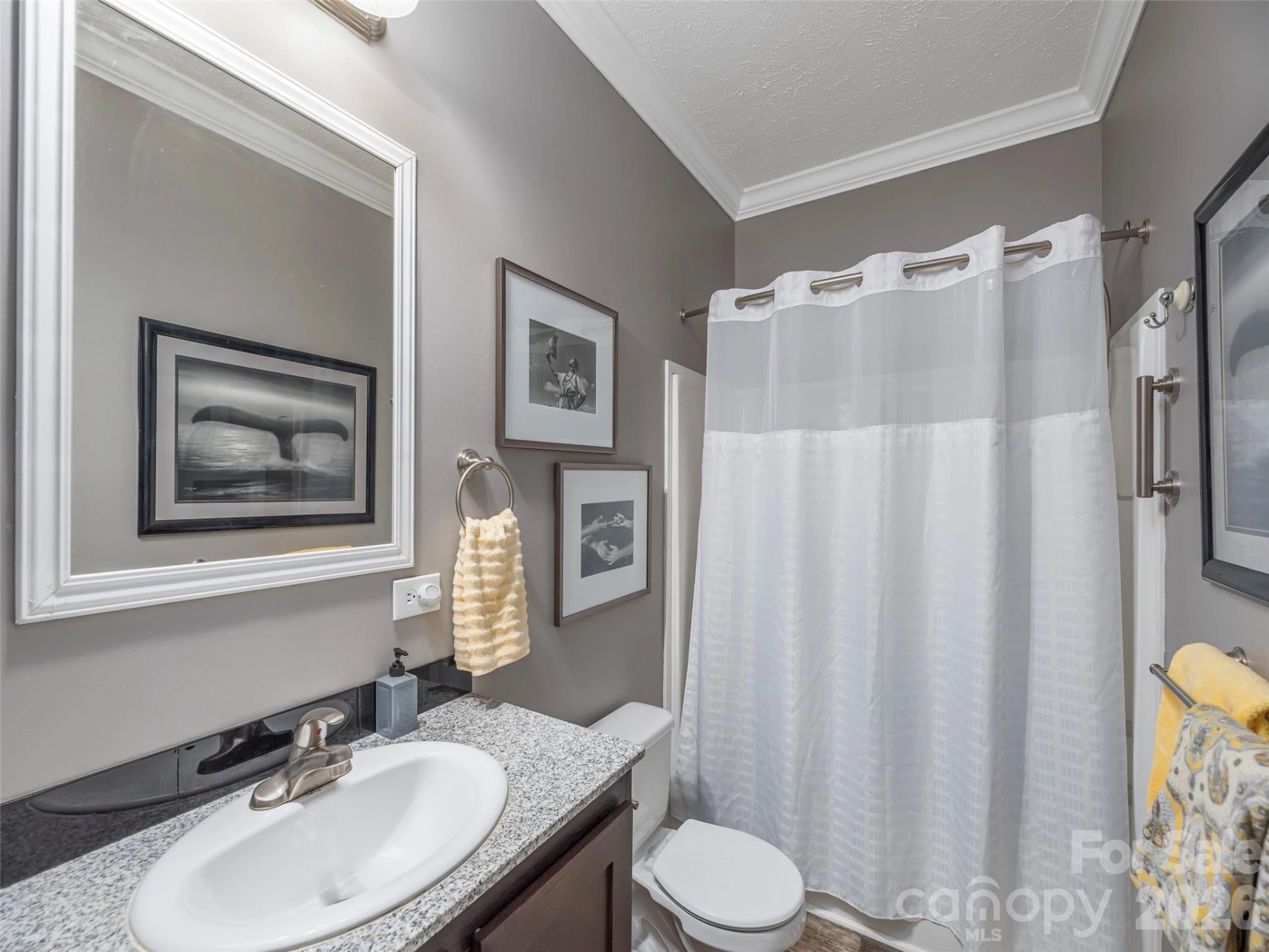 4687 Old Clyde Road - Photo 20