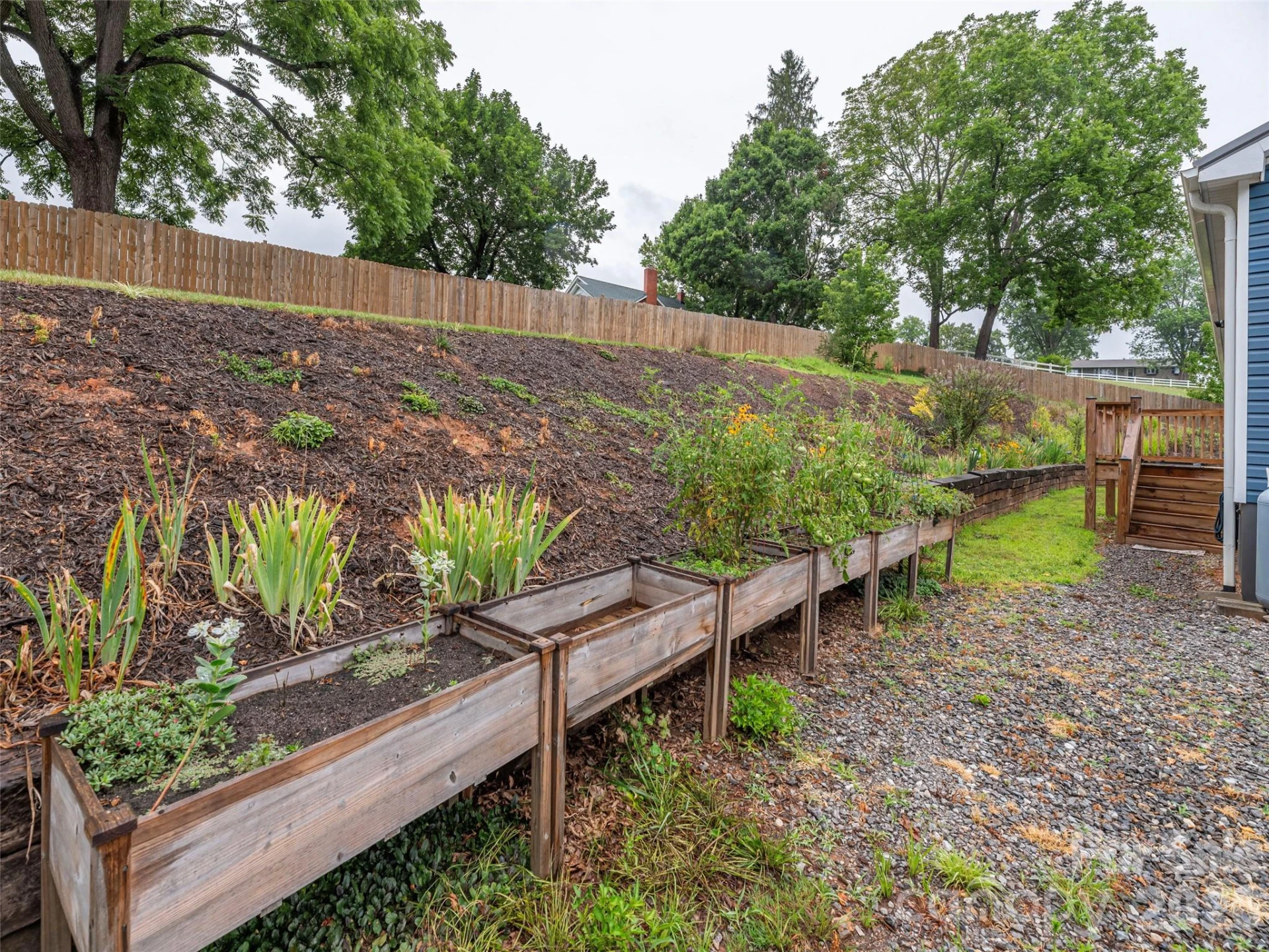 4687 Old Clyde Road - Photo 24