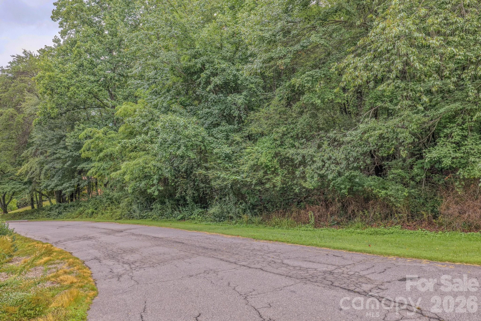 00000 Windswept Drive - Photo 9