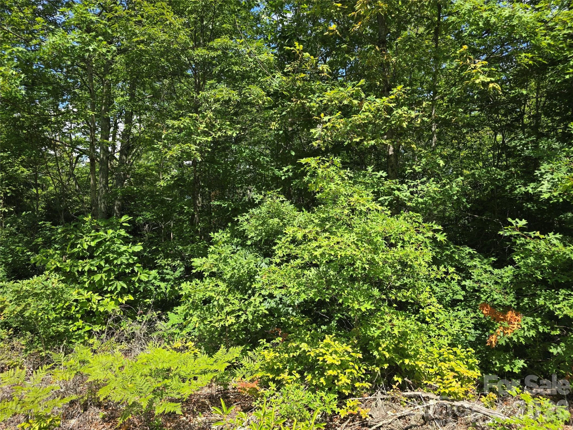 0000 Nancy Mountain Road - Photo 14