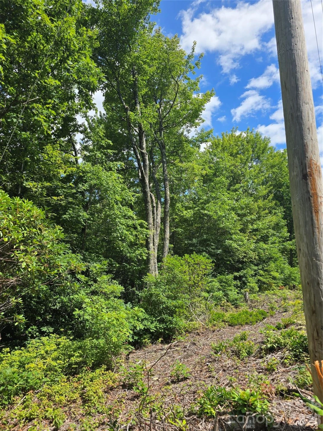 0000 Nancy Mountain Road - Photo 9