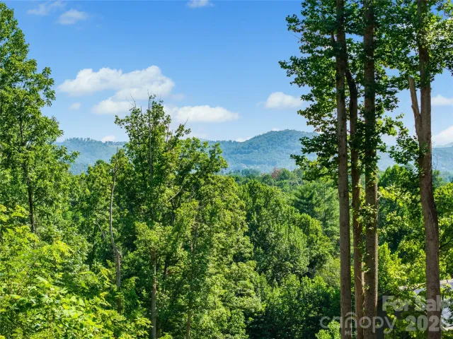 51 Wind Stone Drive, Asheville, NC, 28804