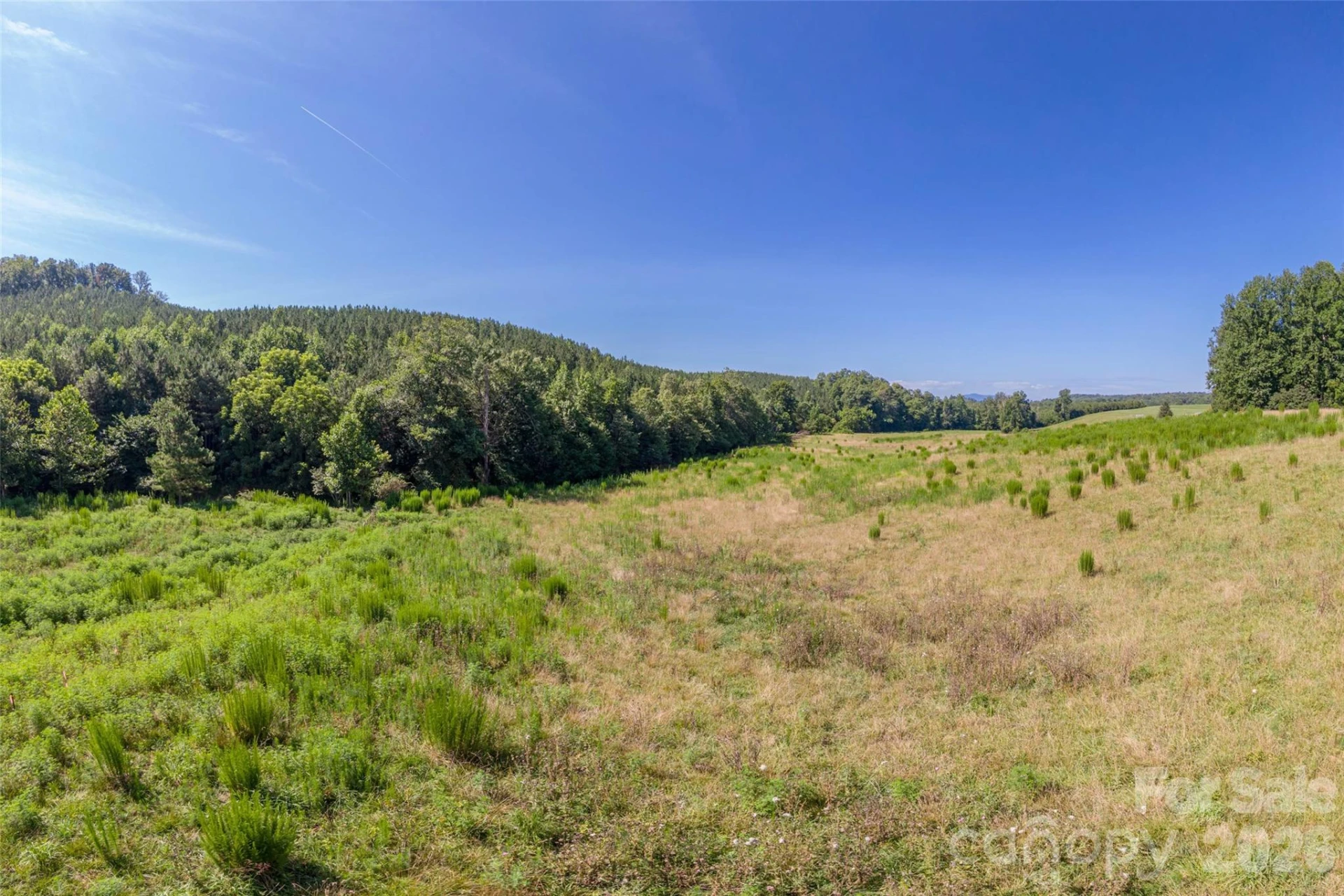 621 Pleasant Grove Road - Photo 13