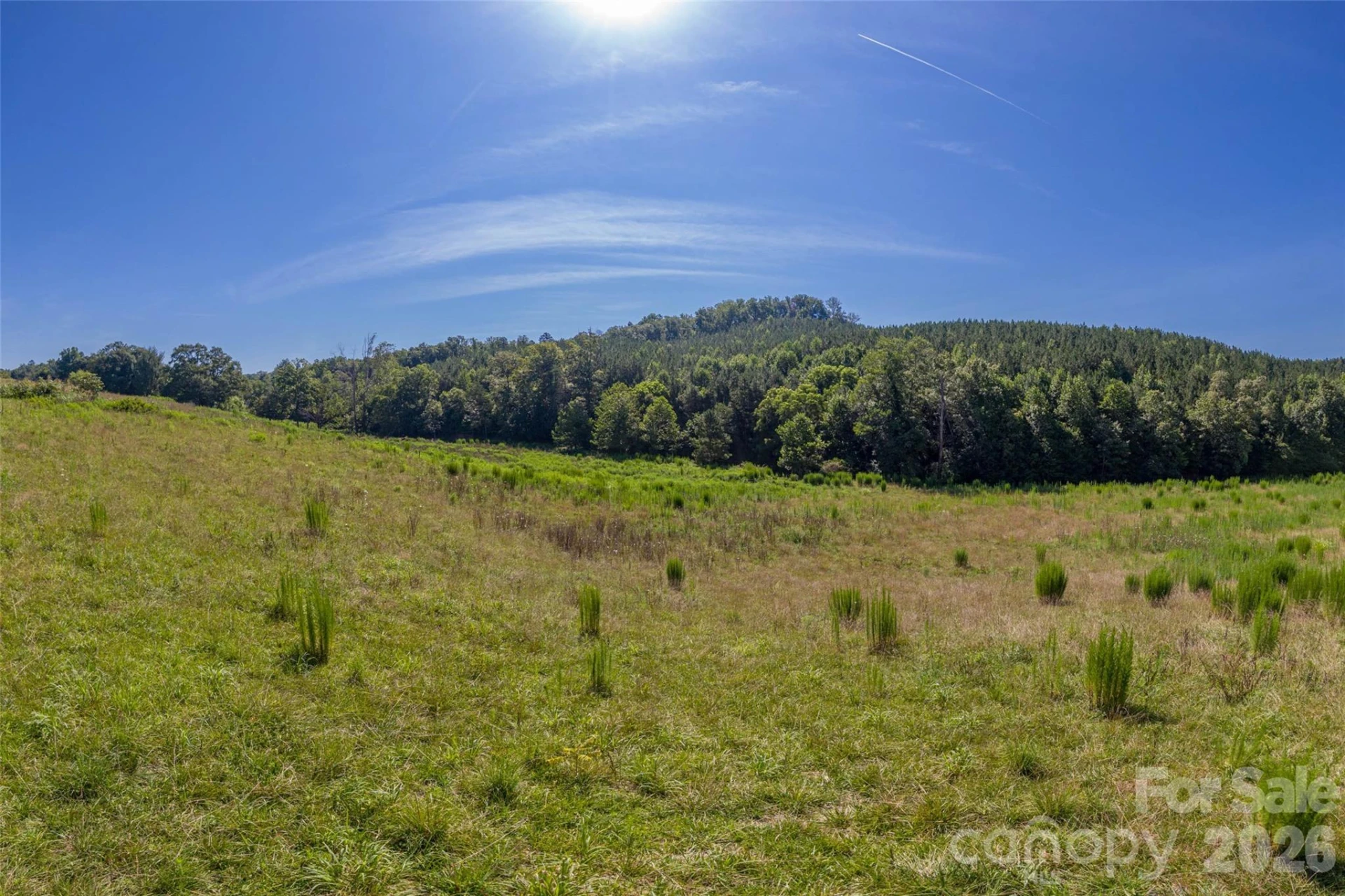 621 Pleasant Grove Road - Photo 14