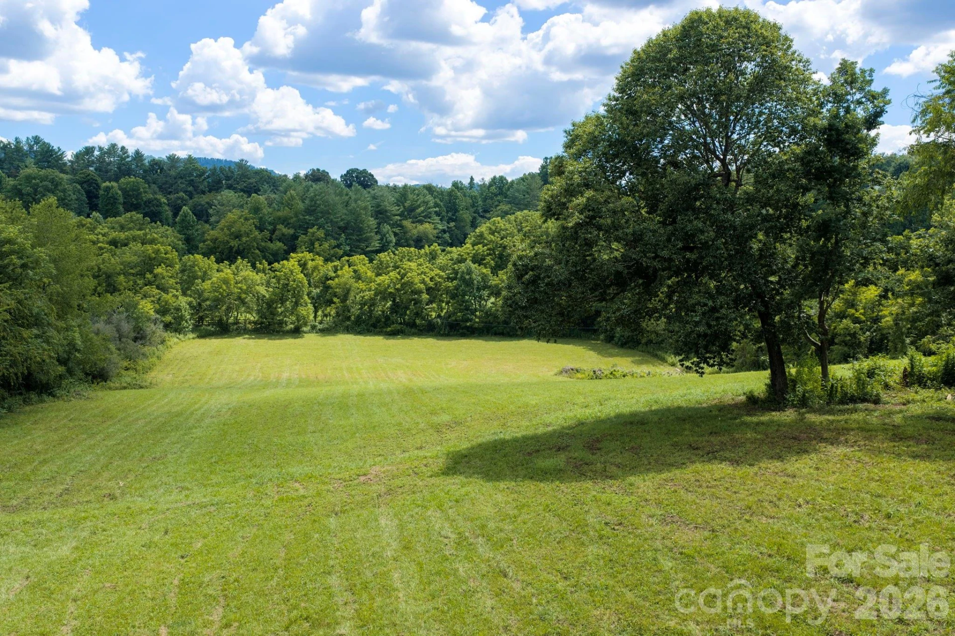 82 Sharon Road - Photo 5
