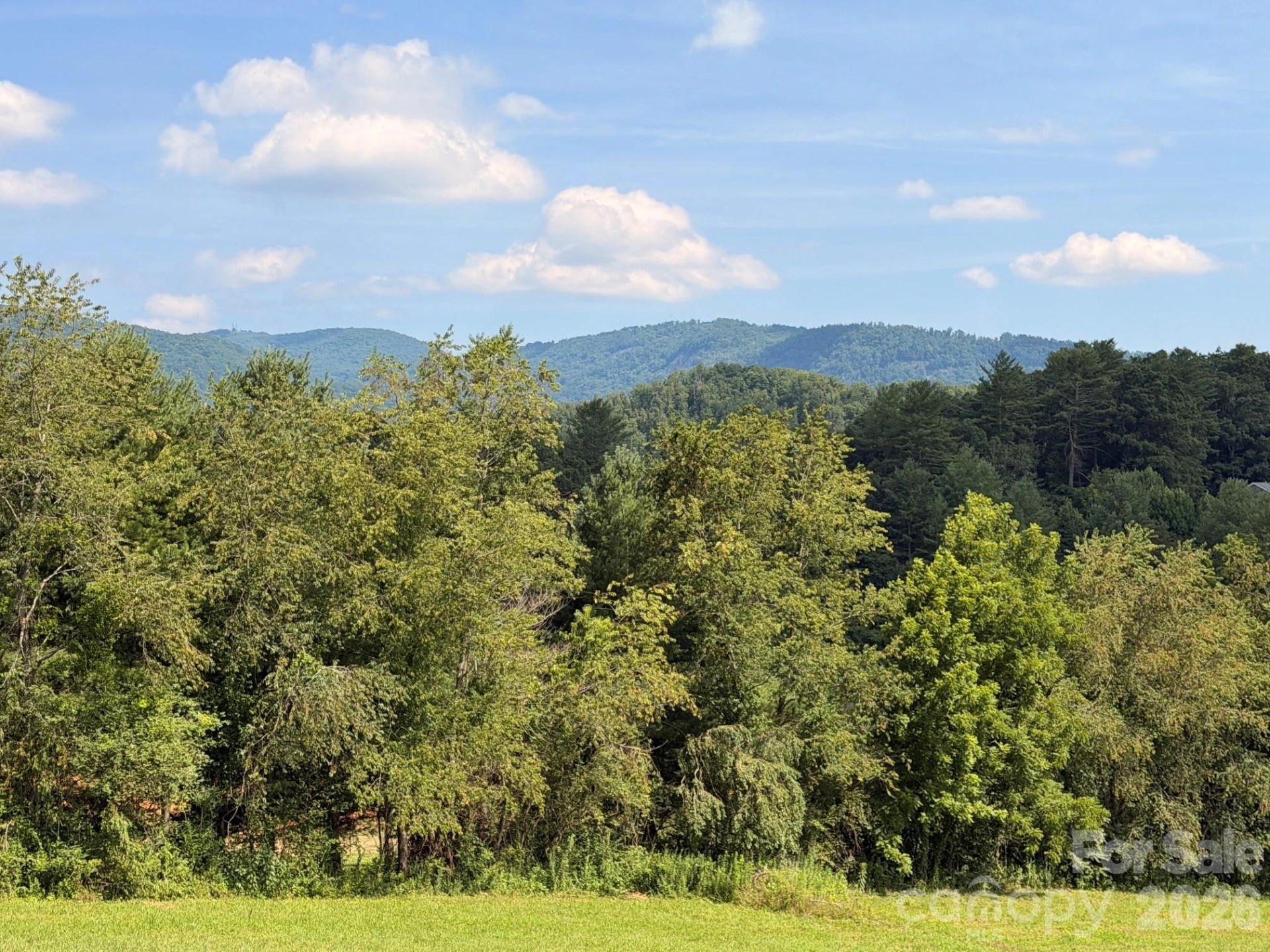 82 Sharon Road - Photo 7