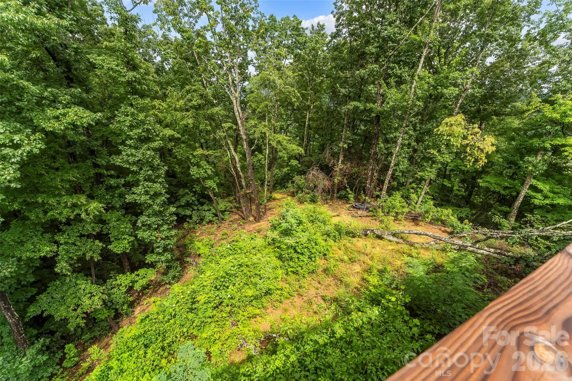 266 Potomac Falls Drive - Photo 38