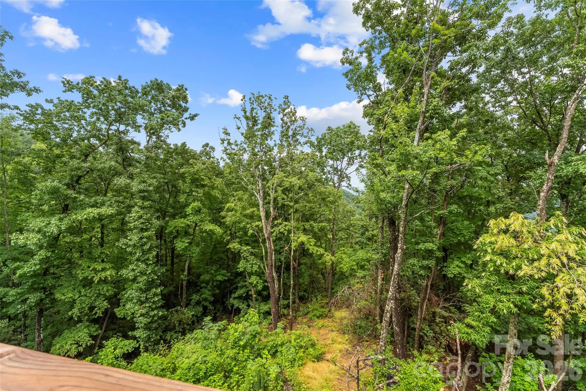 266 Potomac Falls Drive - Photo 40