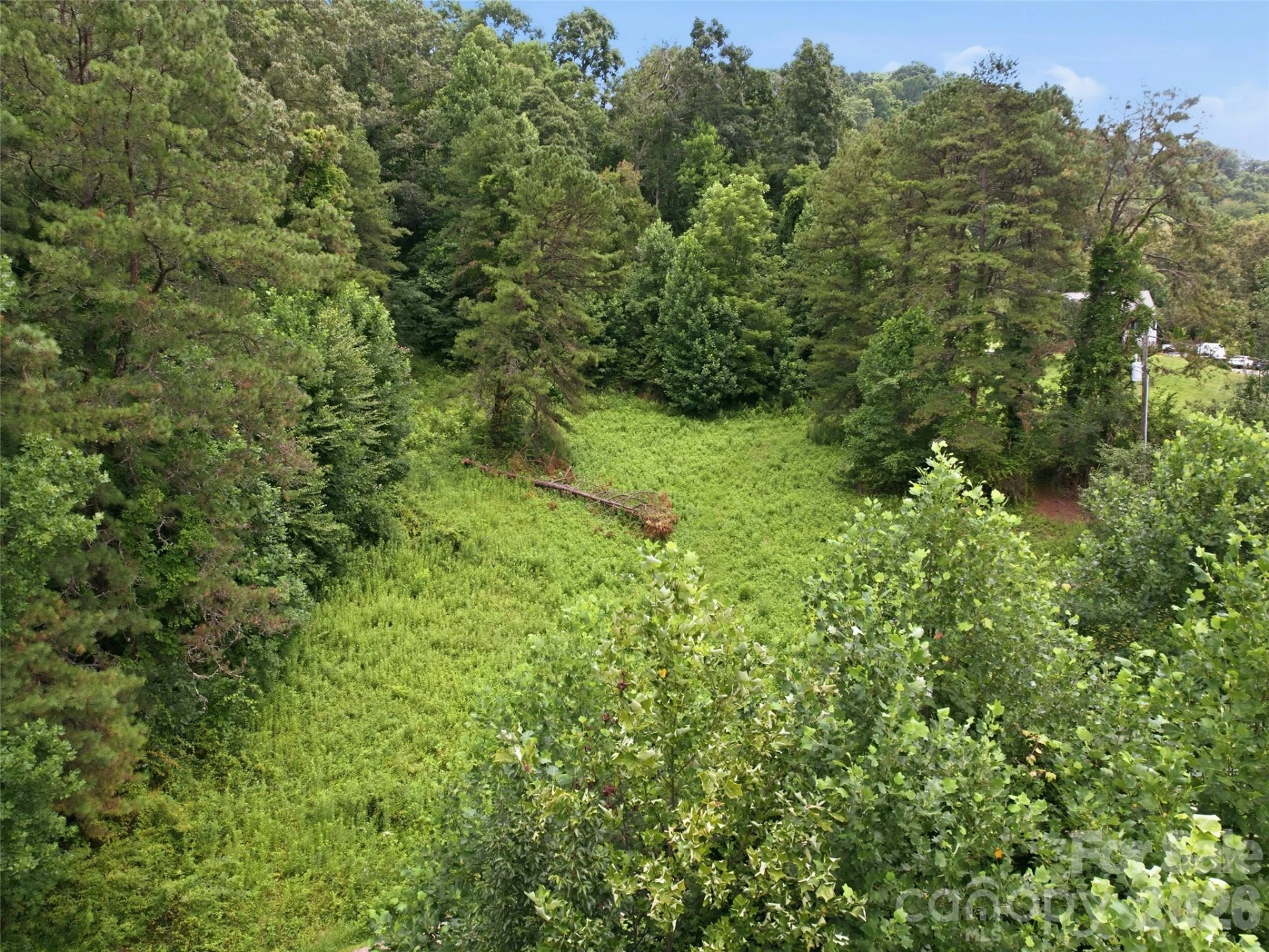 000 Wild Rose Lane - Photo 3
