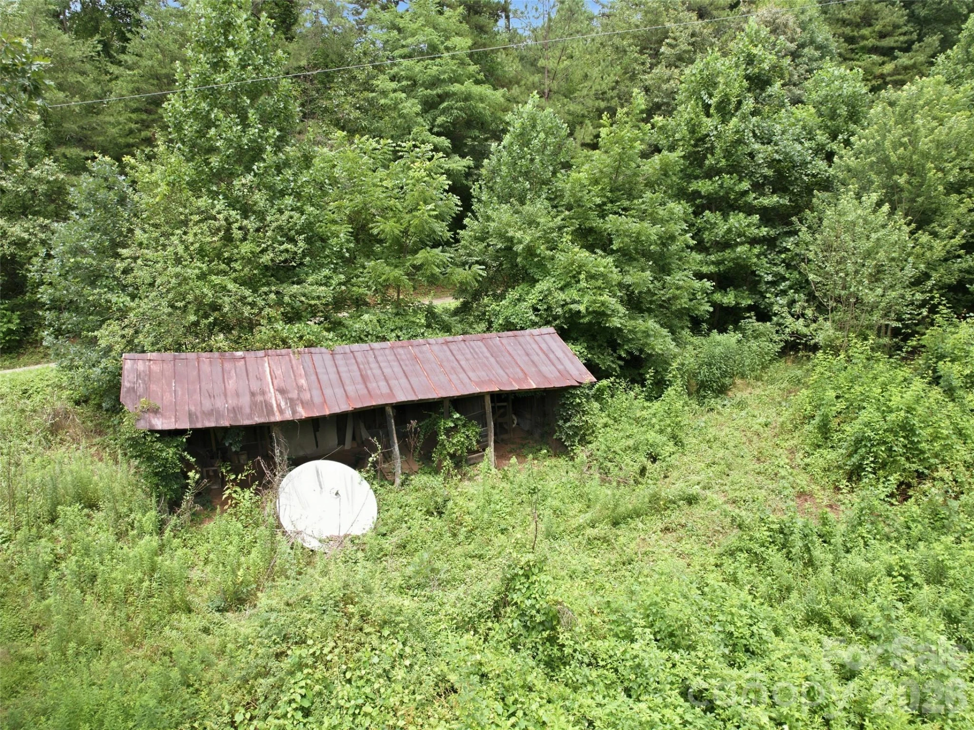 000 Wild Rose Lane - Photo 6
