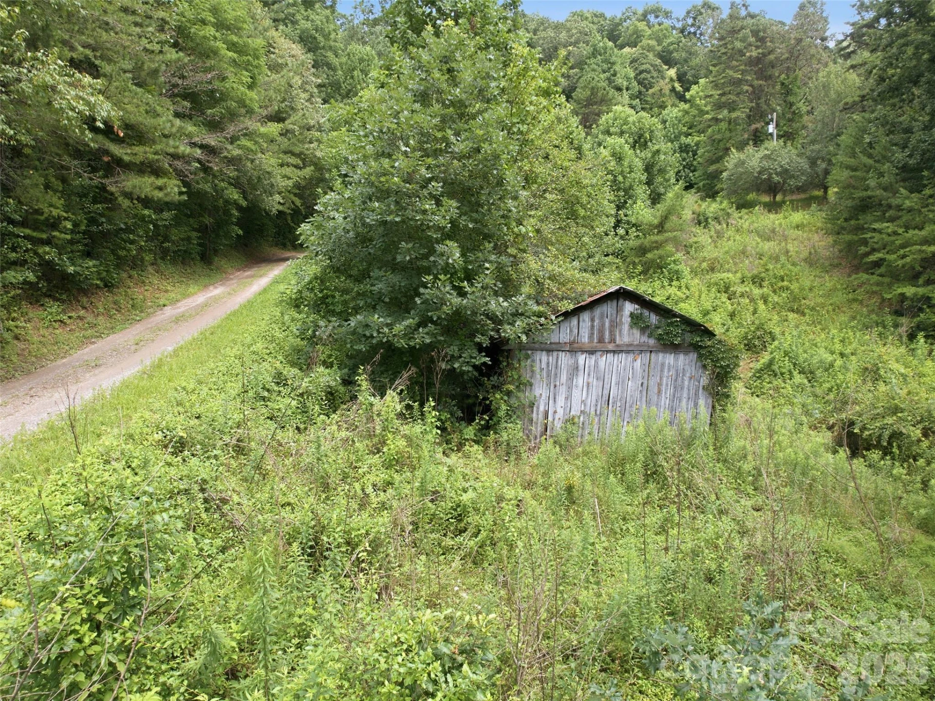 000 Wild Rose Lane - Photo 7