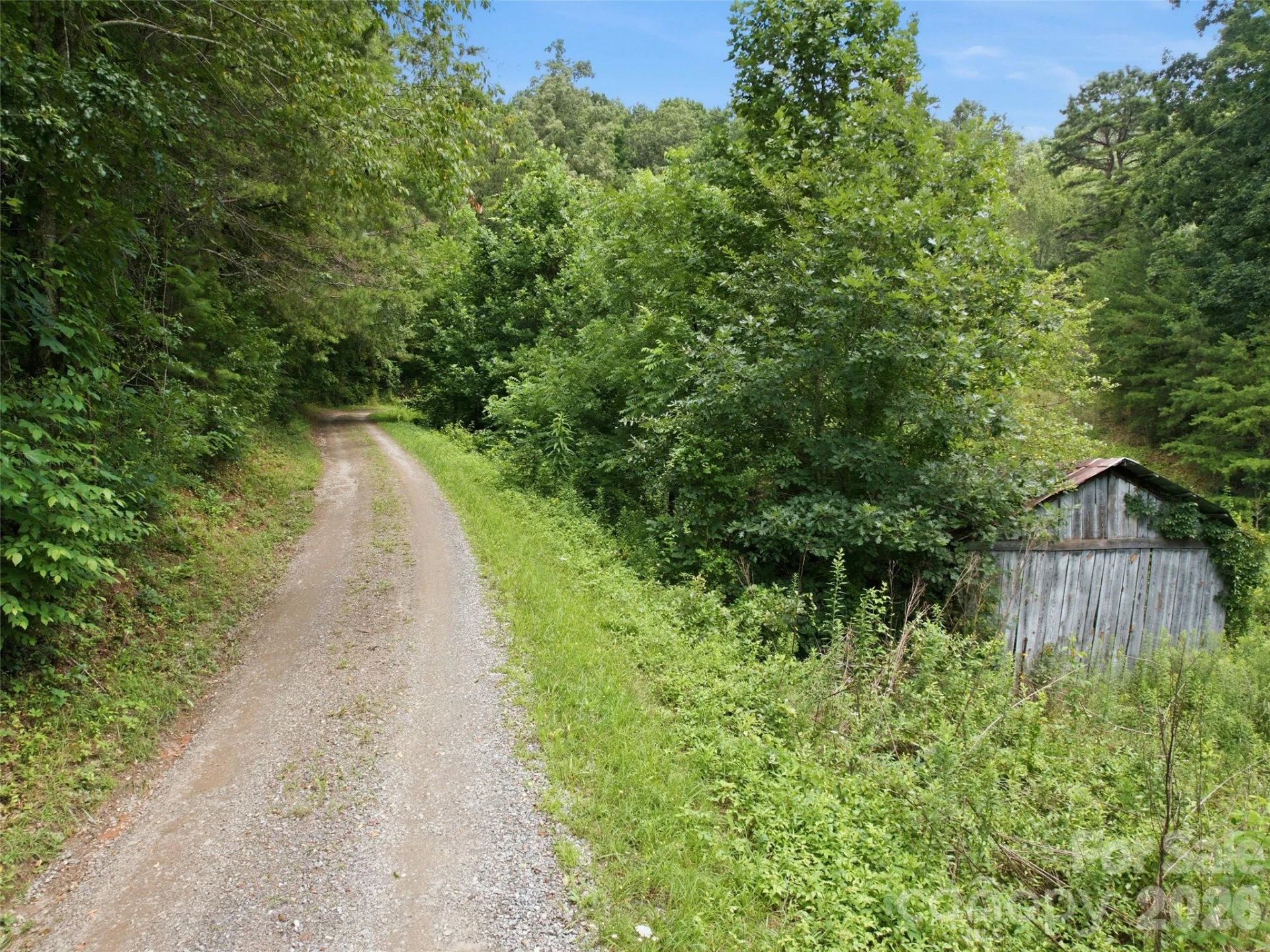 000 Wild Rose Lane - Photo 8