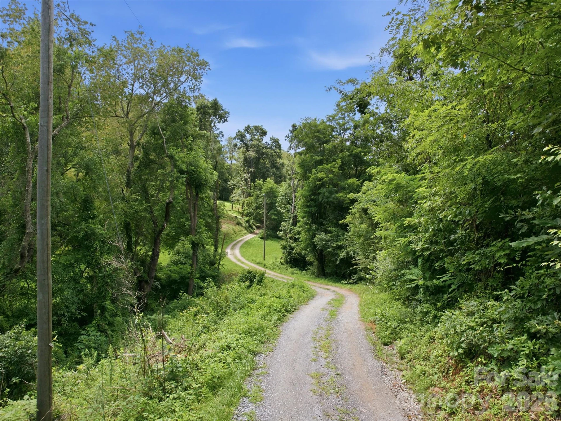 000 Wild Rose Lane - Photo 9