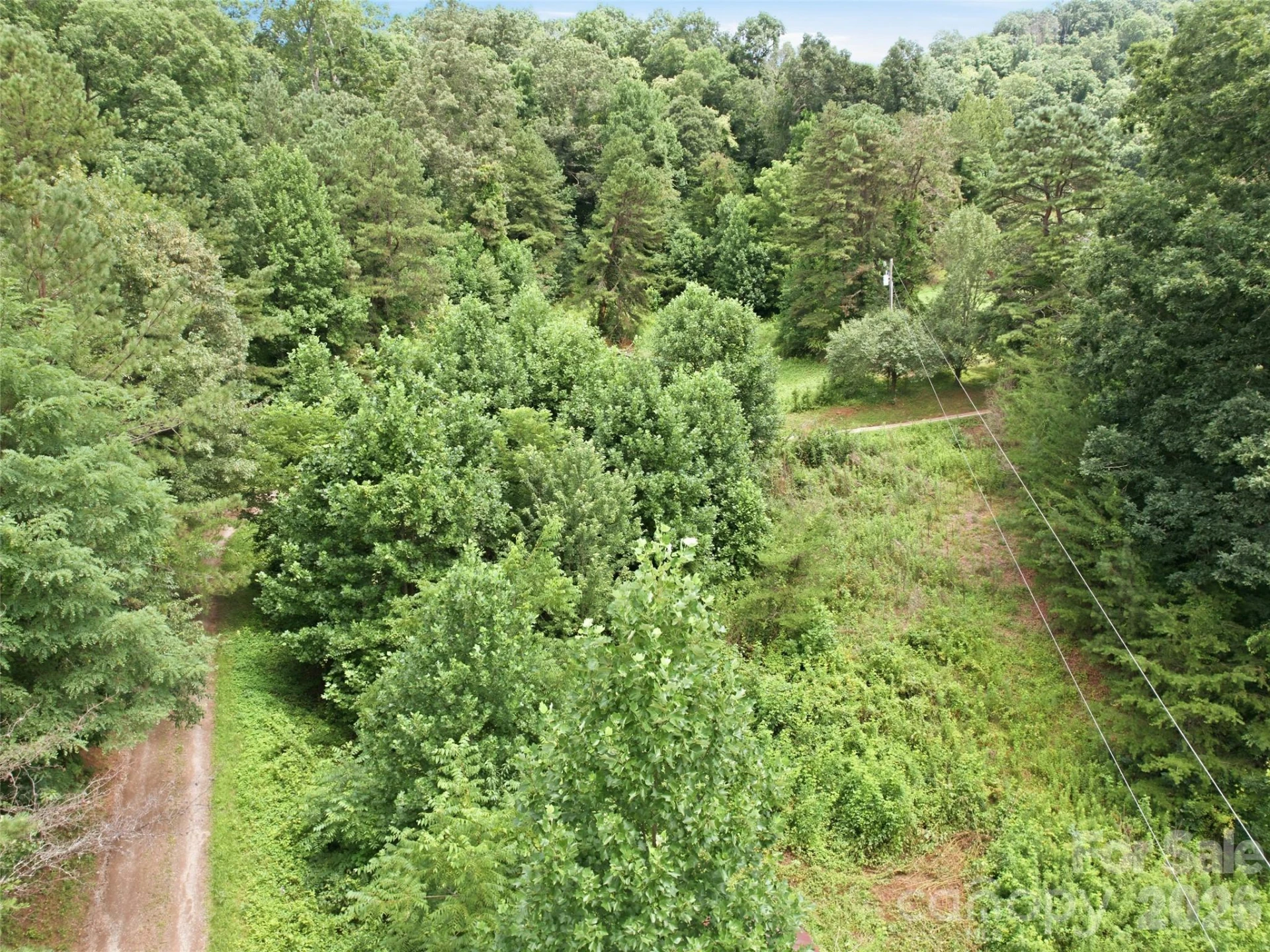 000 Wild Rose Lane - Photo 10