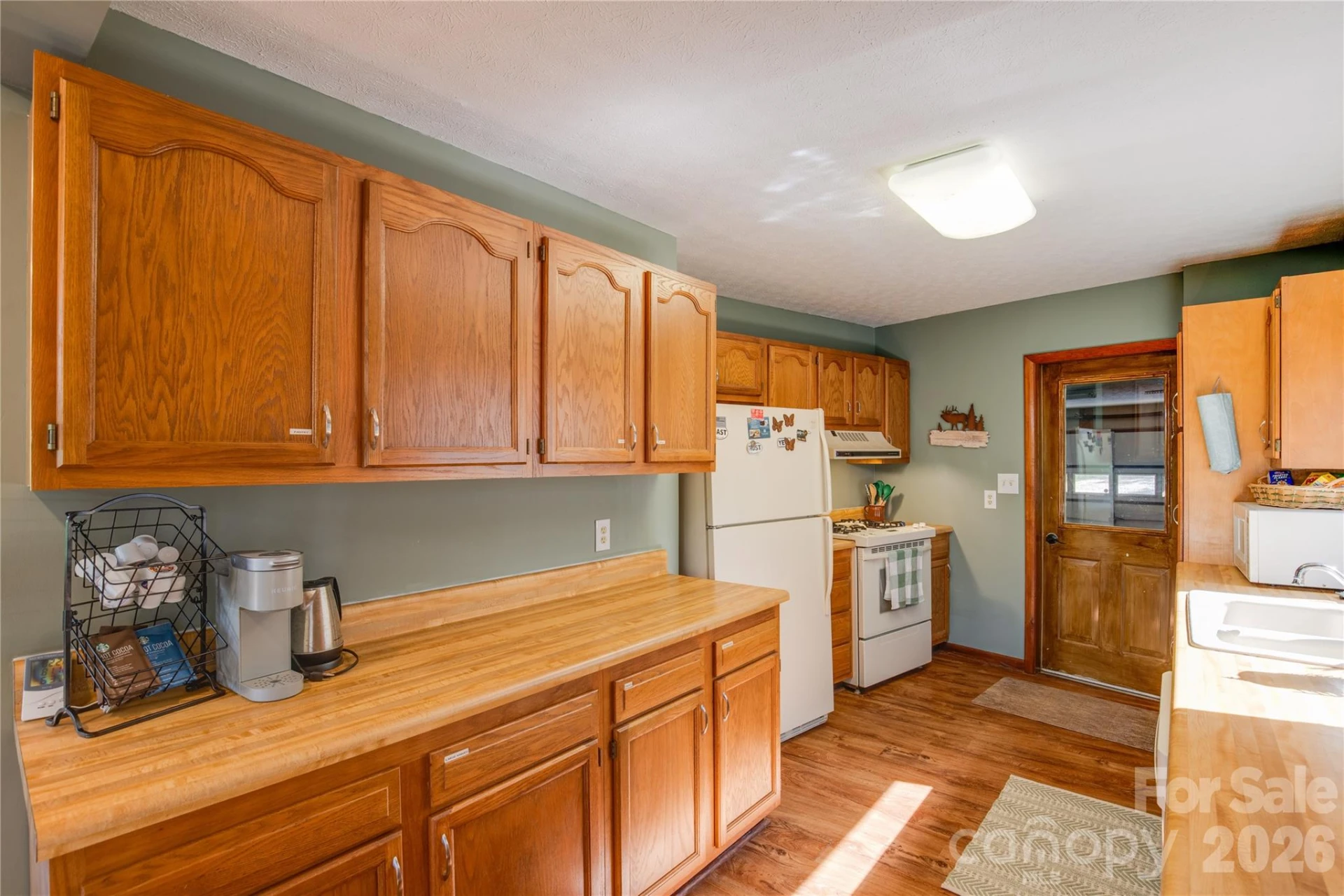 300 Buck Drive - Photo 12