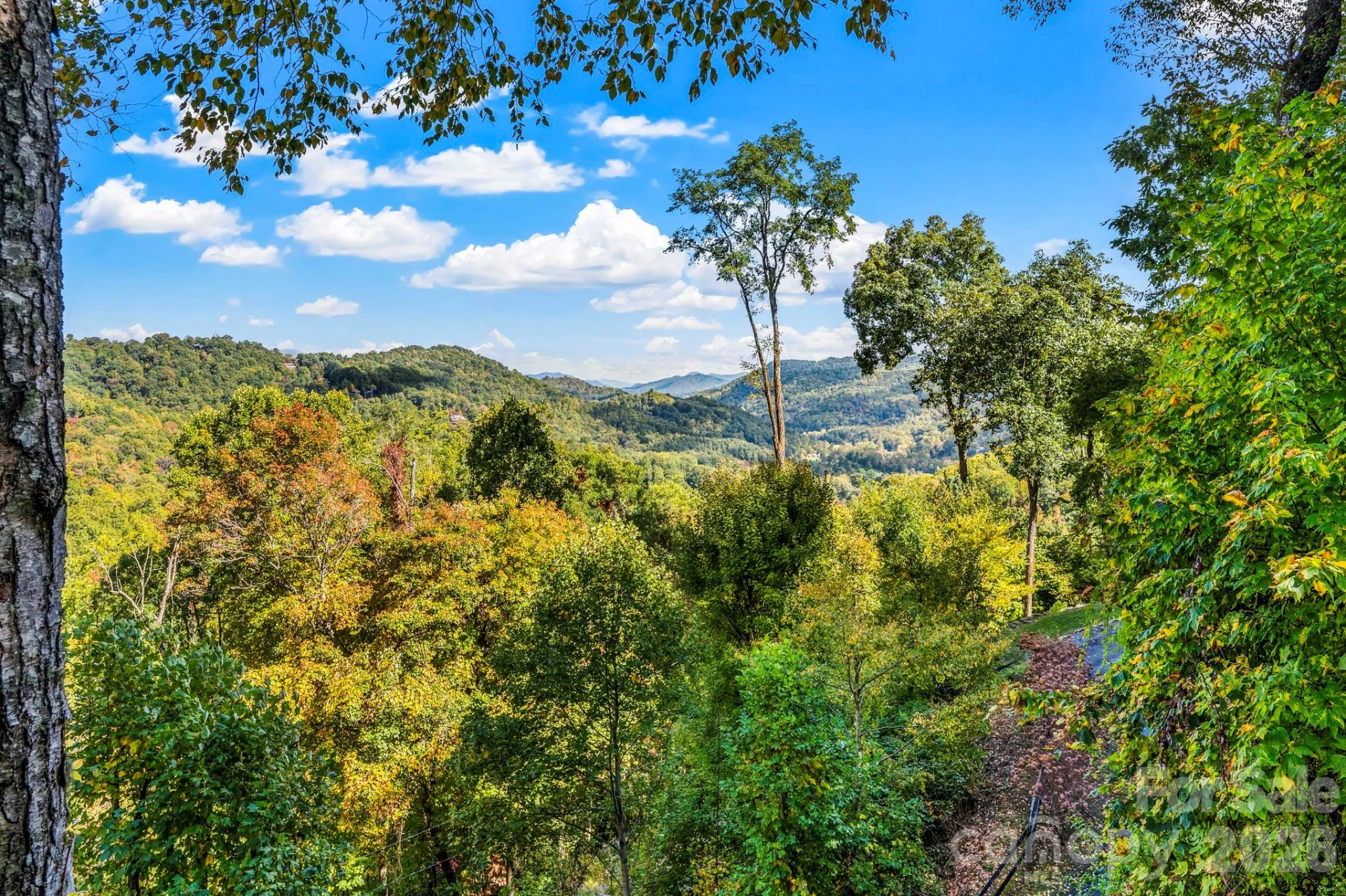 160 Bridle Drive - Photo 28