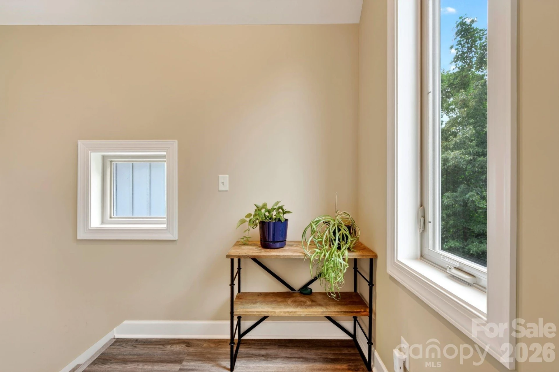 66 Burton Street - Photo 19