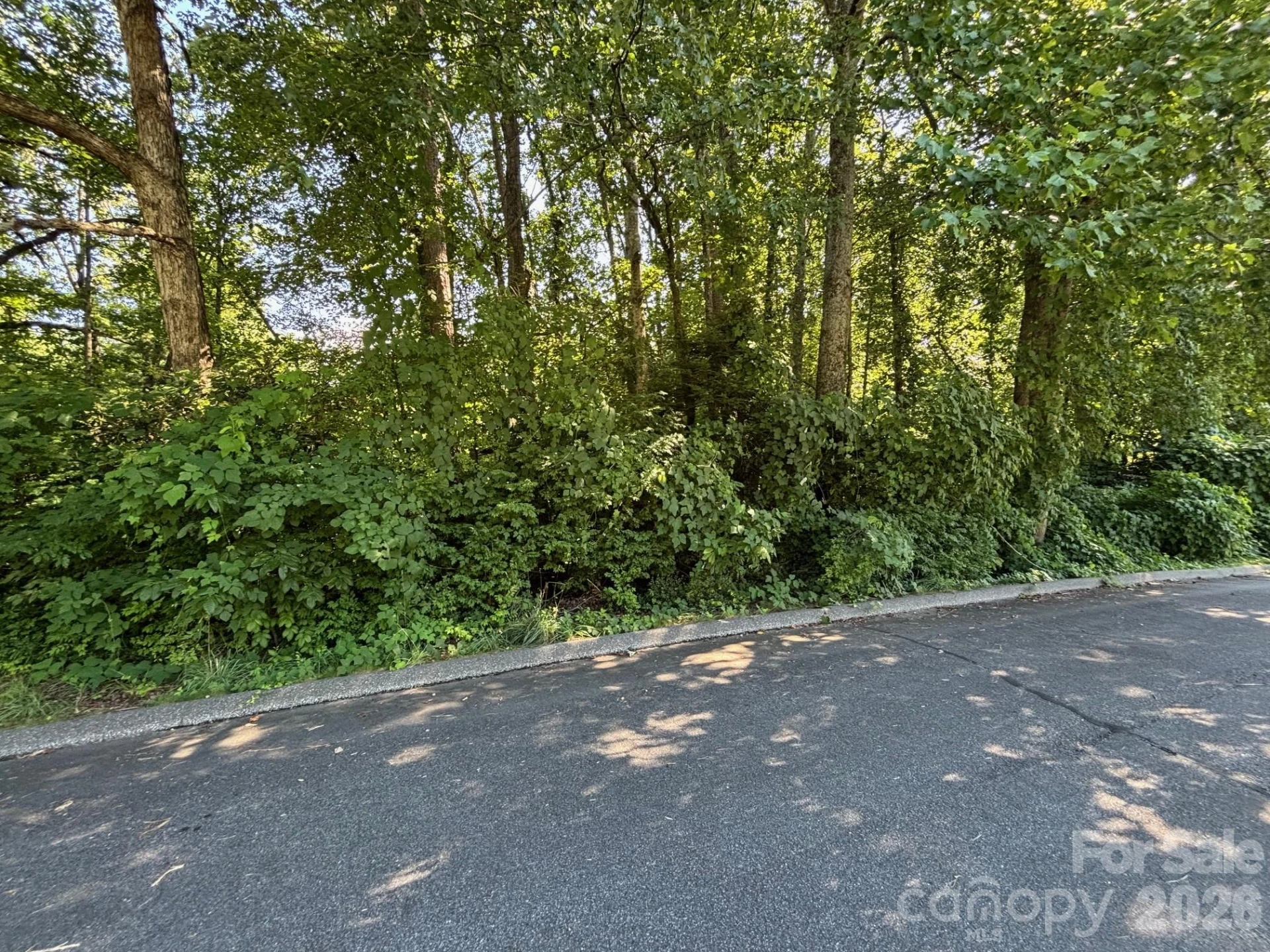 V/L Woodland Drive #11 - Photo 4