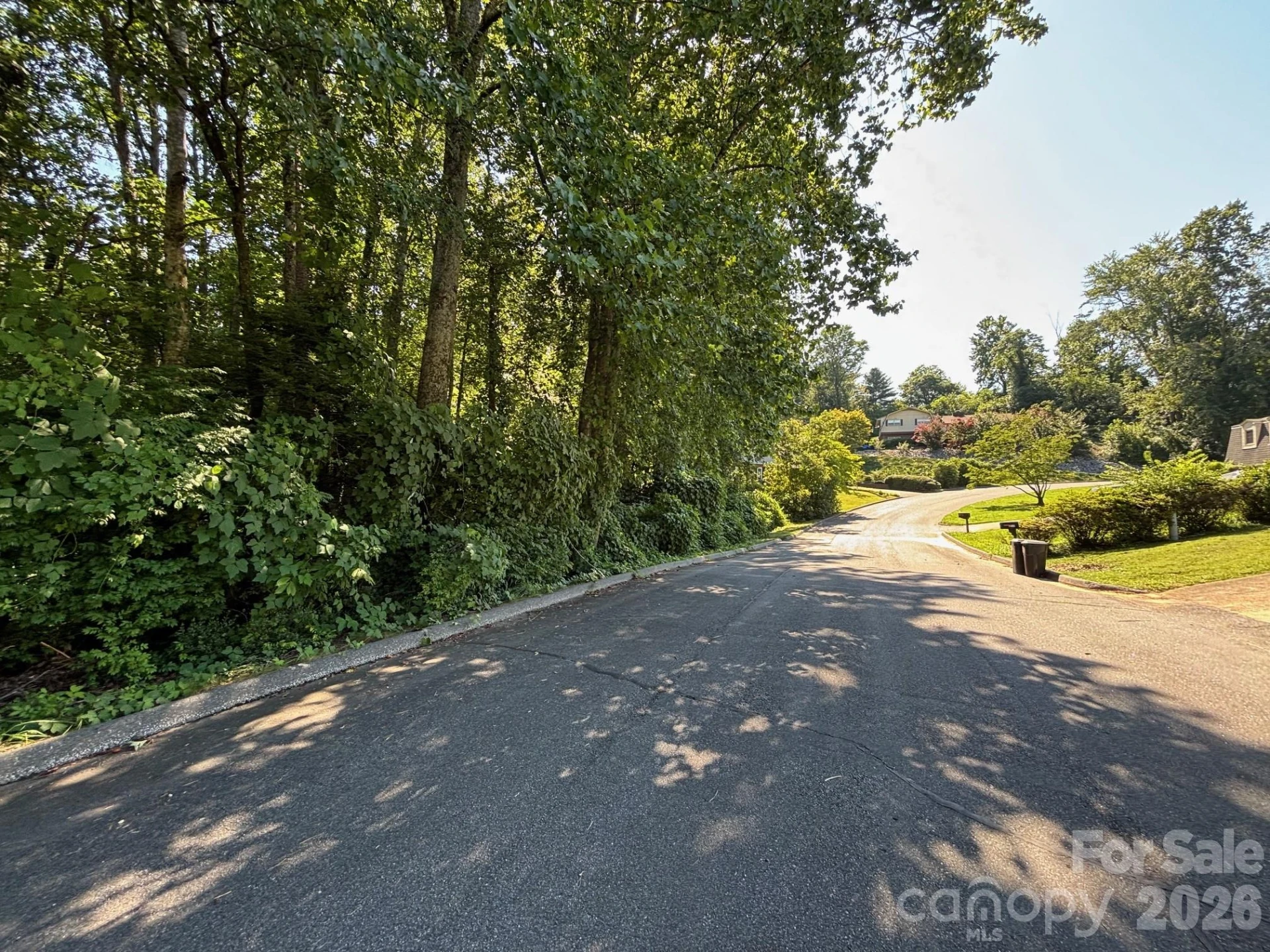V/L Woodland Drive #11 - Photo 5