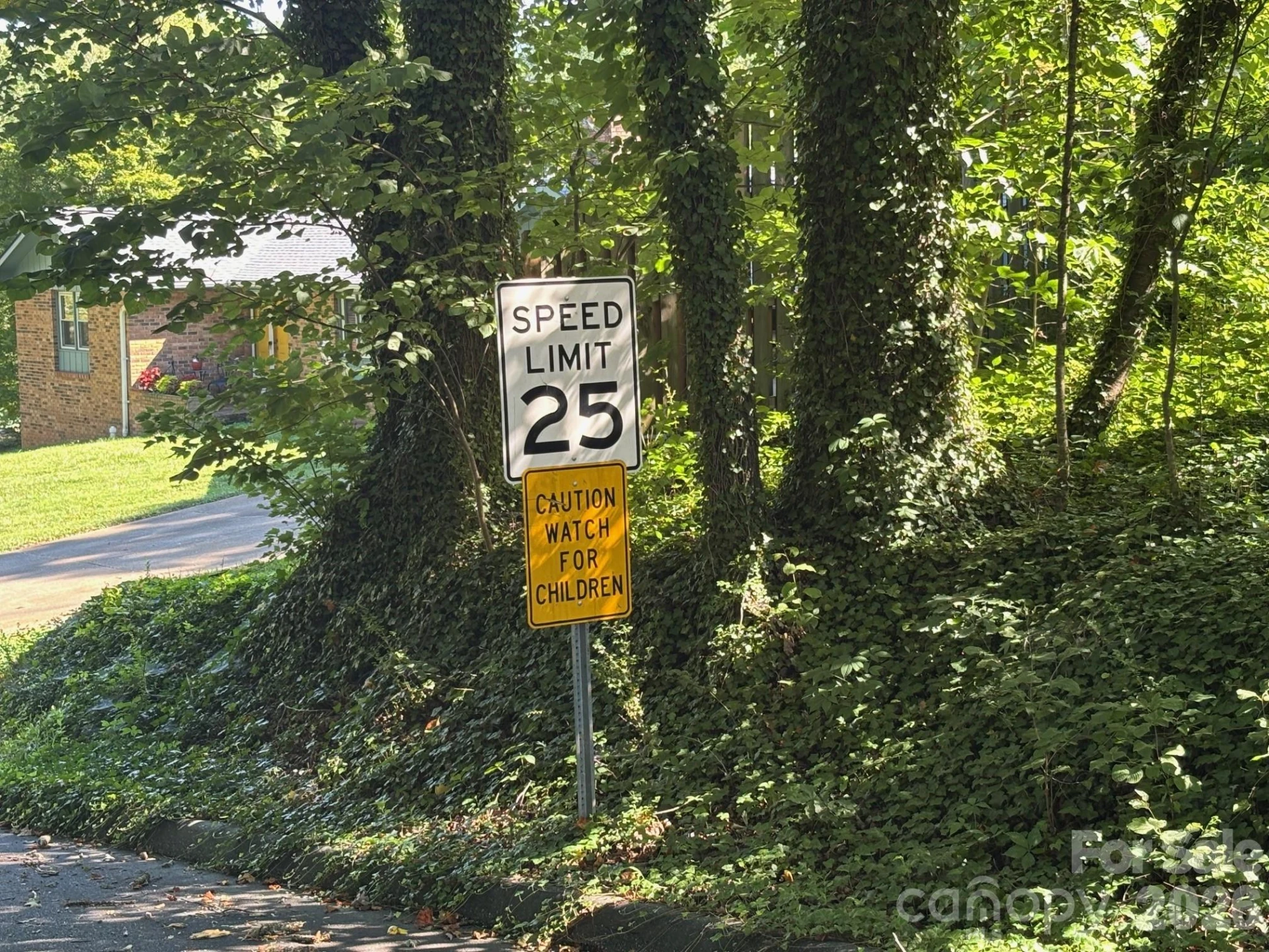 V/L Woodland Drive #11 - Photo 7