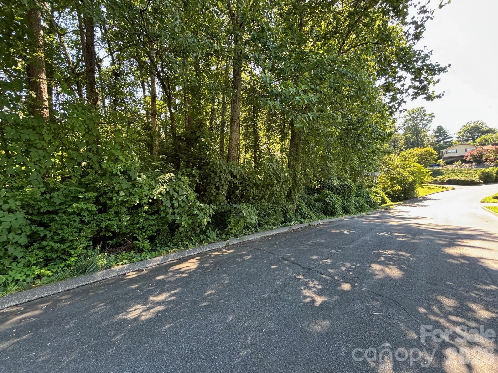 V/L Woodland Drive #10 - Photo 2