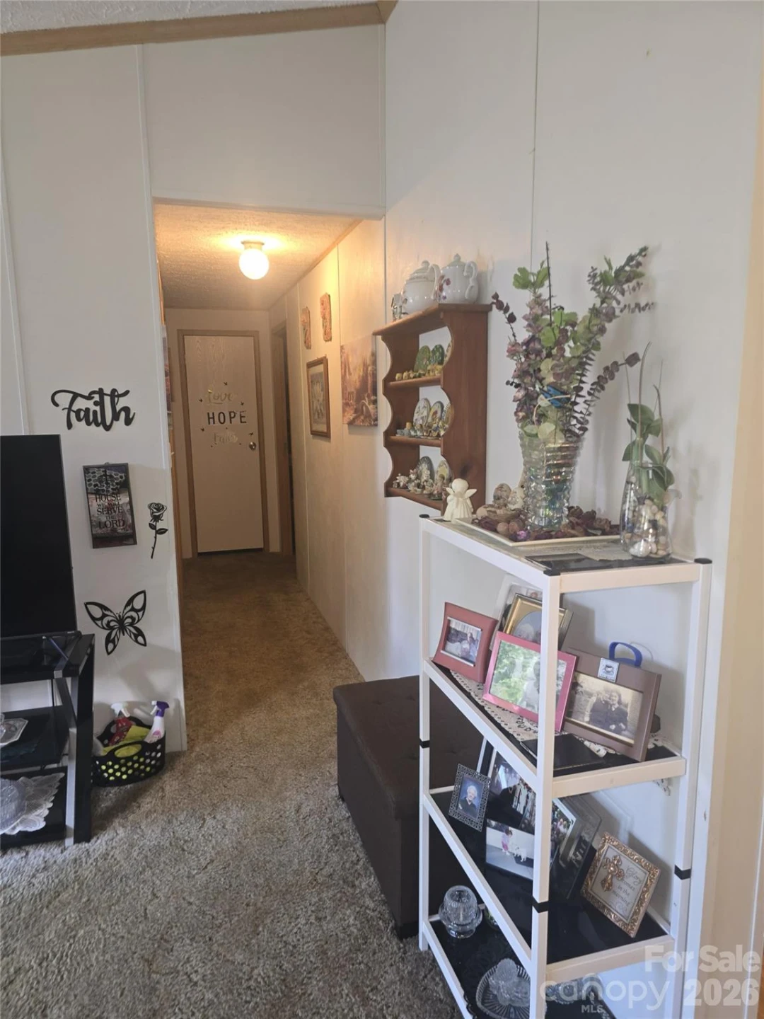 192 Lady Bug Lane - Photo 7