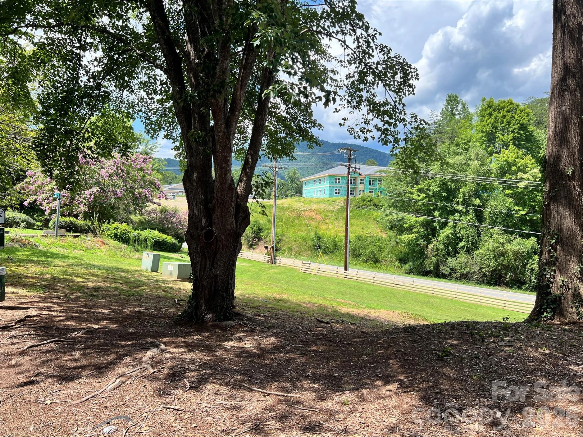 160 Whitney Boulevard #35 - Photo 4