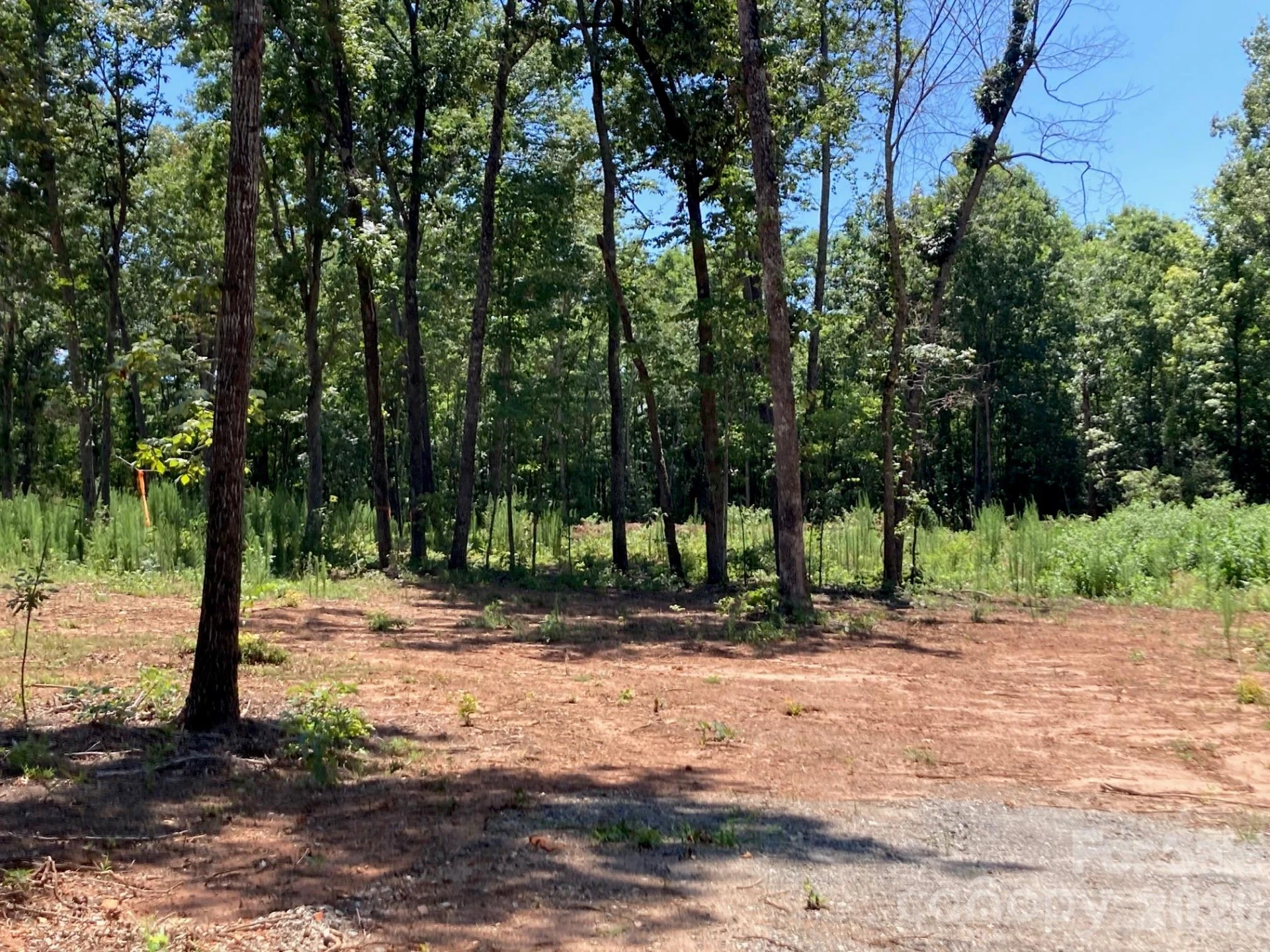159 Evenfall Lane #1, 2 (~4 Acres) - Photo 36