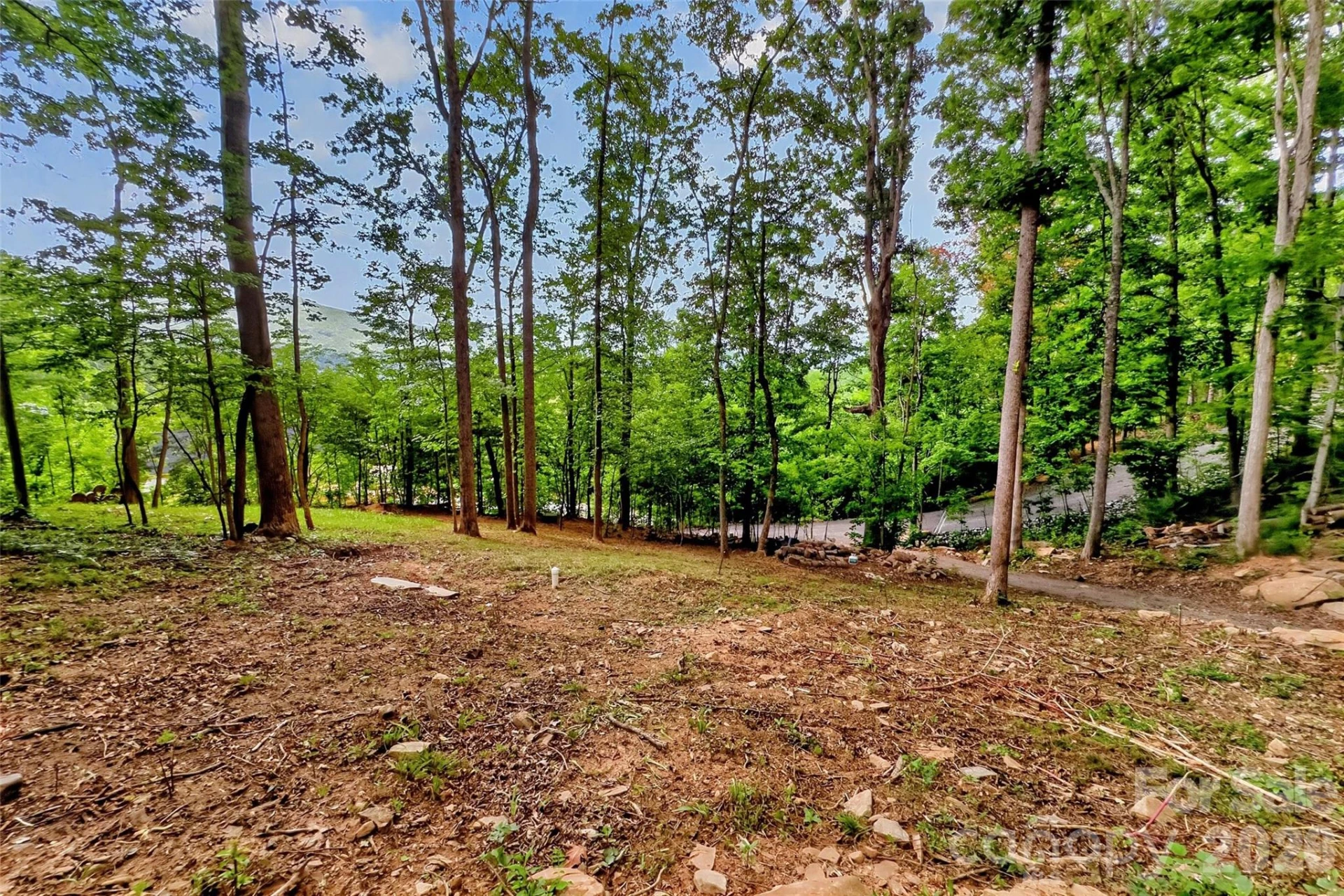 16 Nellie Bell Lane - Photo 15