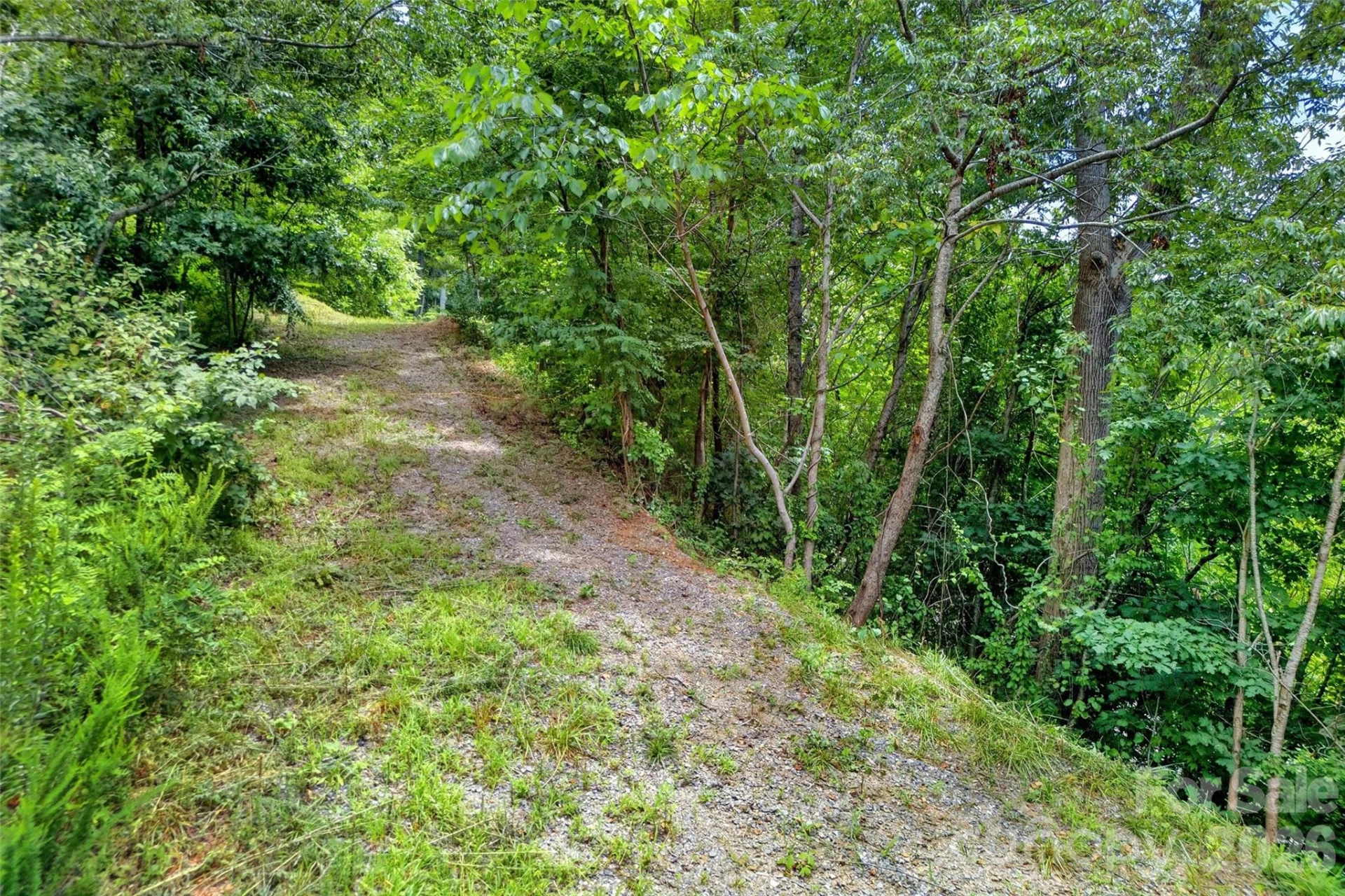 32 Nellie Bell Lane - Photo 4