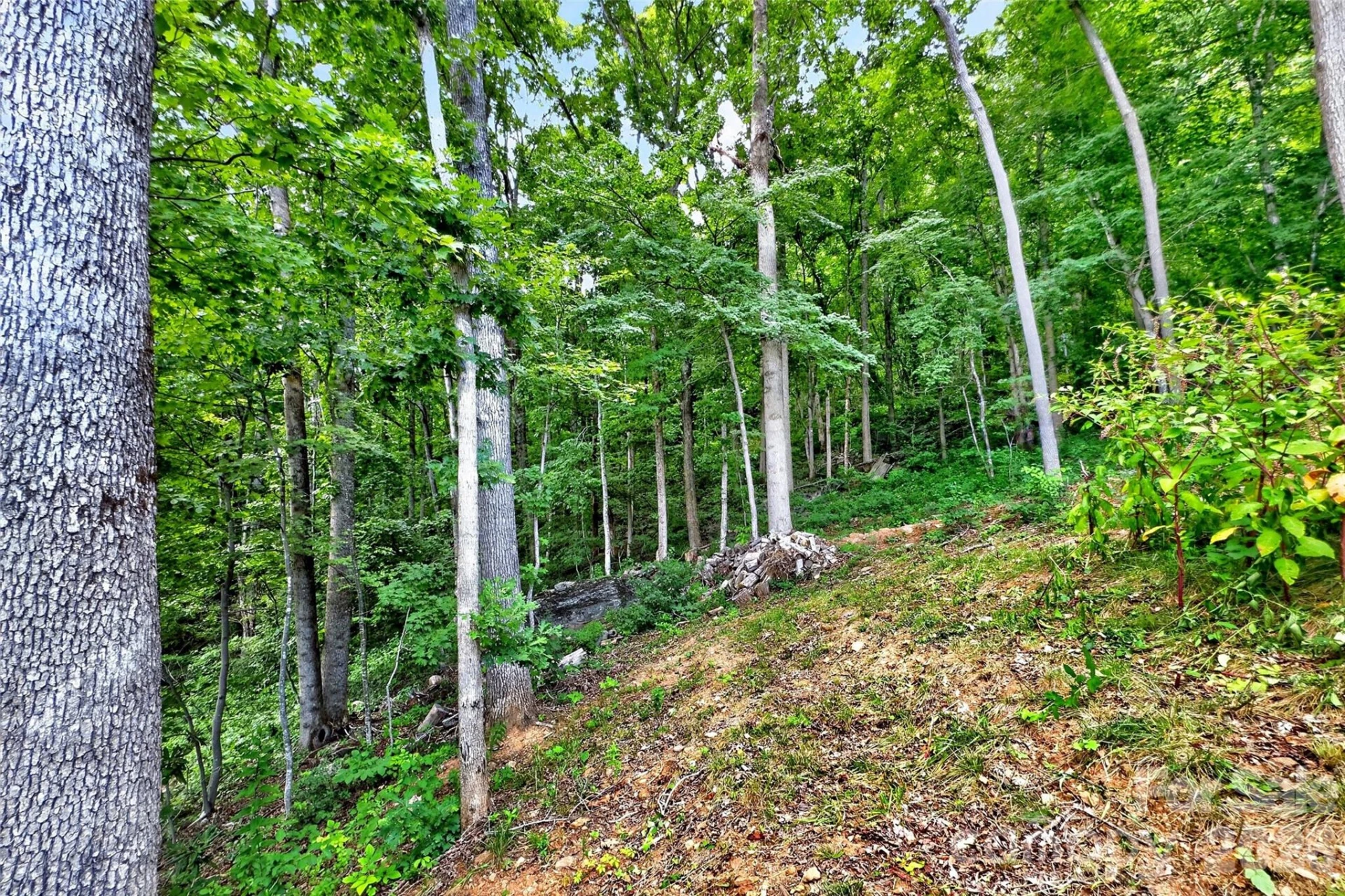 32 Nellie Bell Lane - Photo 6