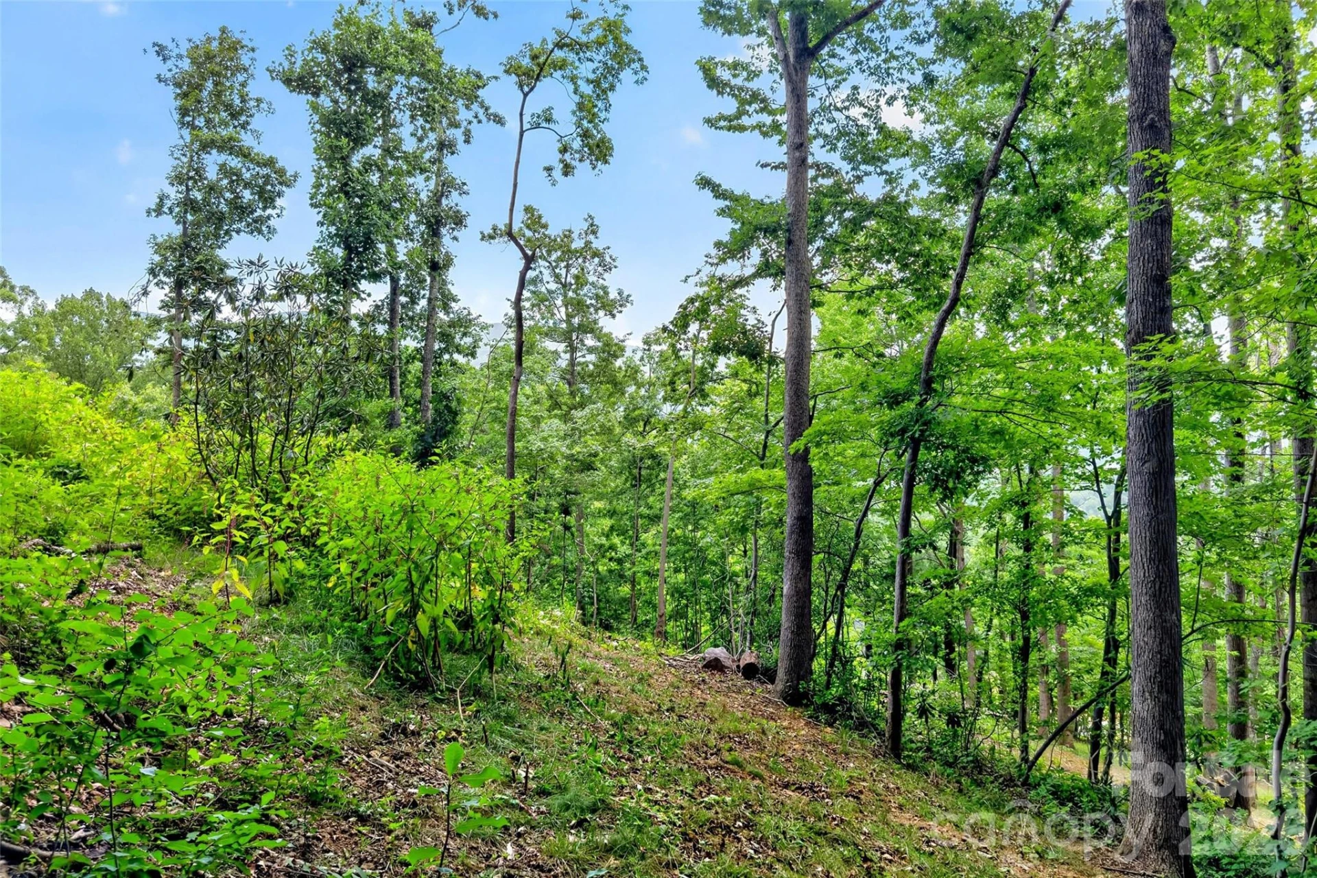 32 Nellie Bell Lane - Photo 8