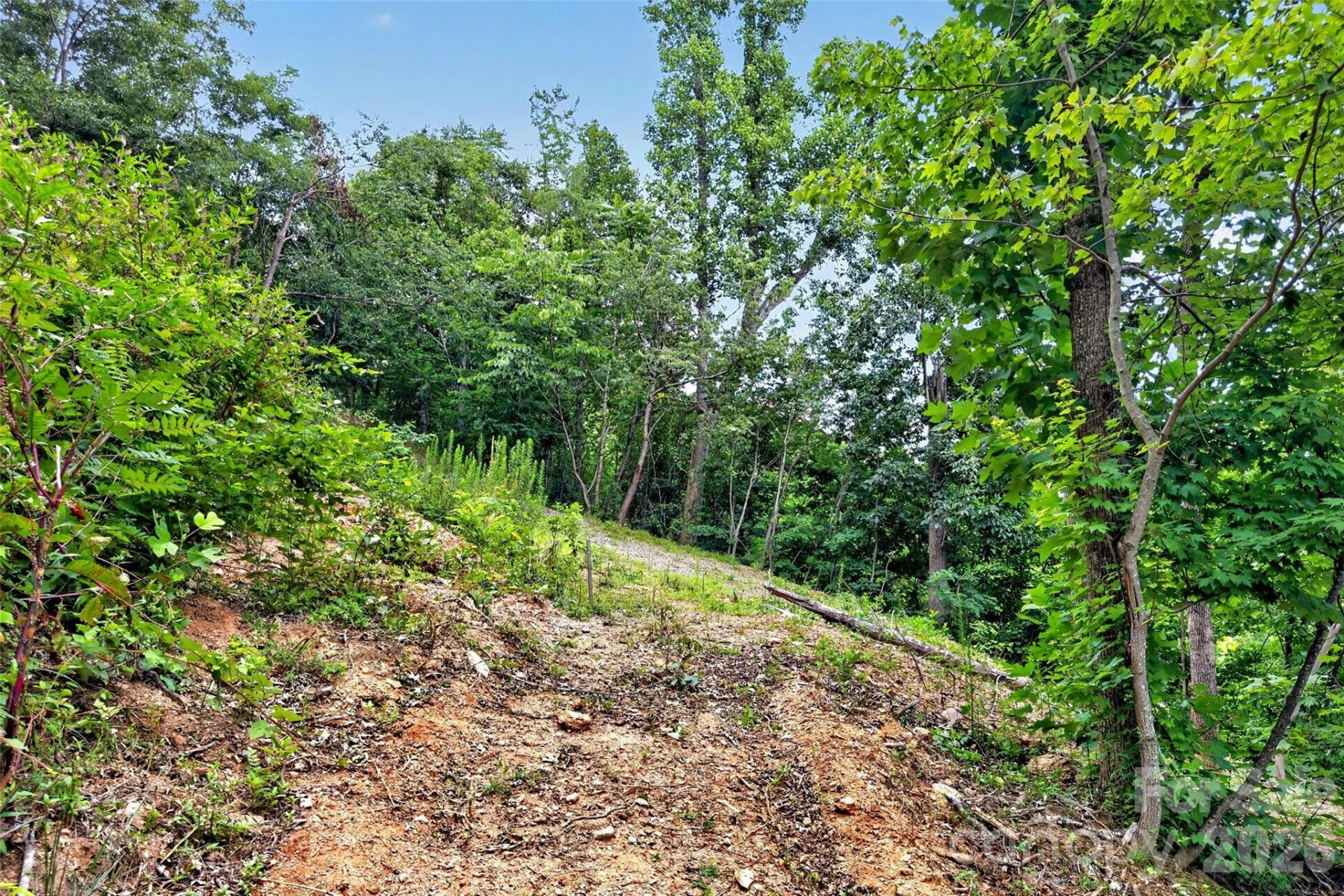 32 Nellie Bell Lane - Photo 9