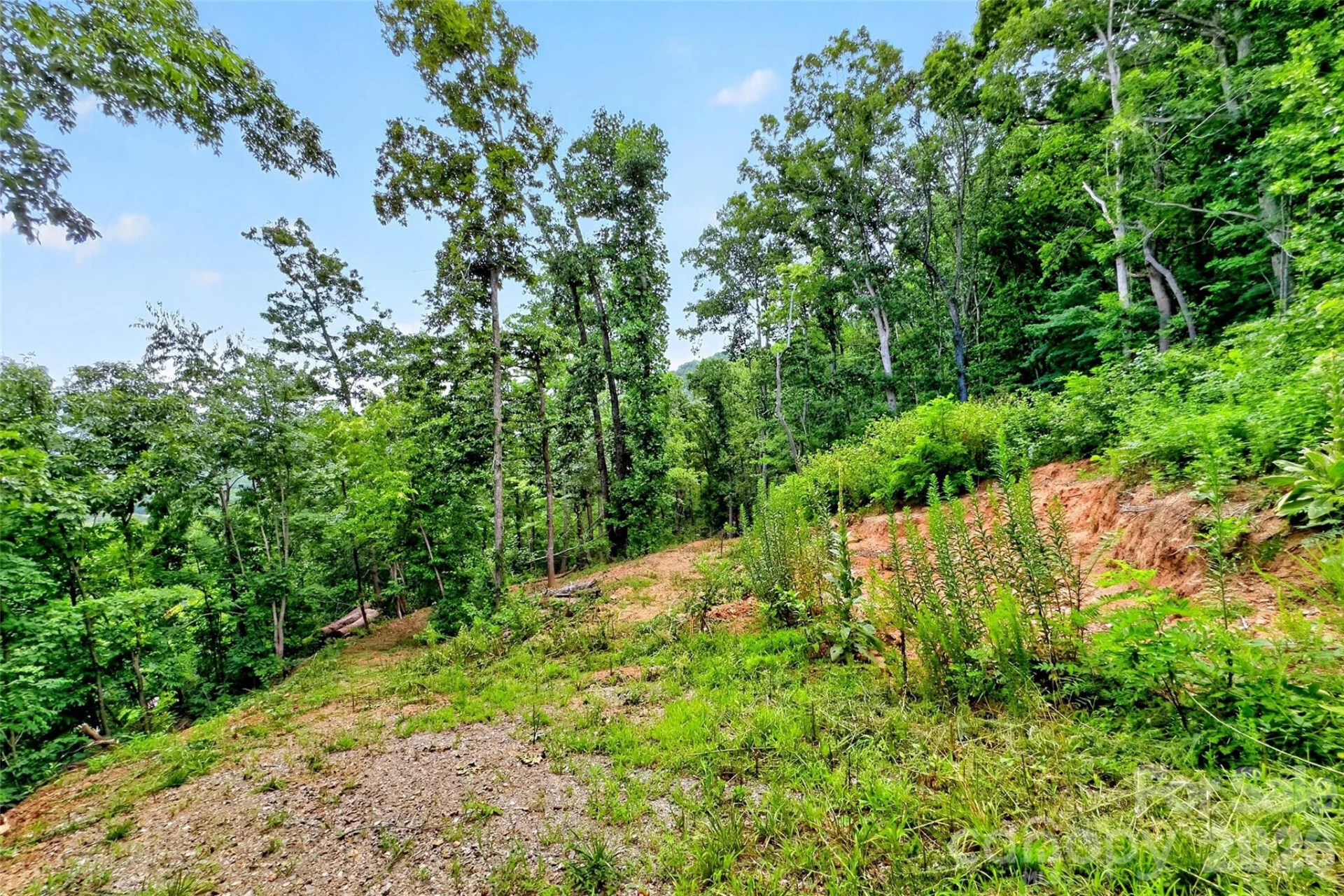 32 Nellie Bell Lane - Photo 10