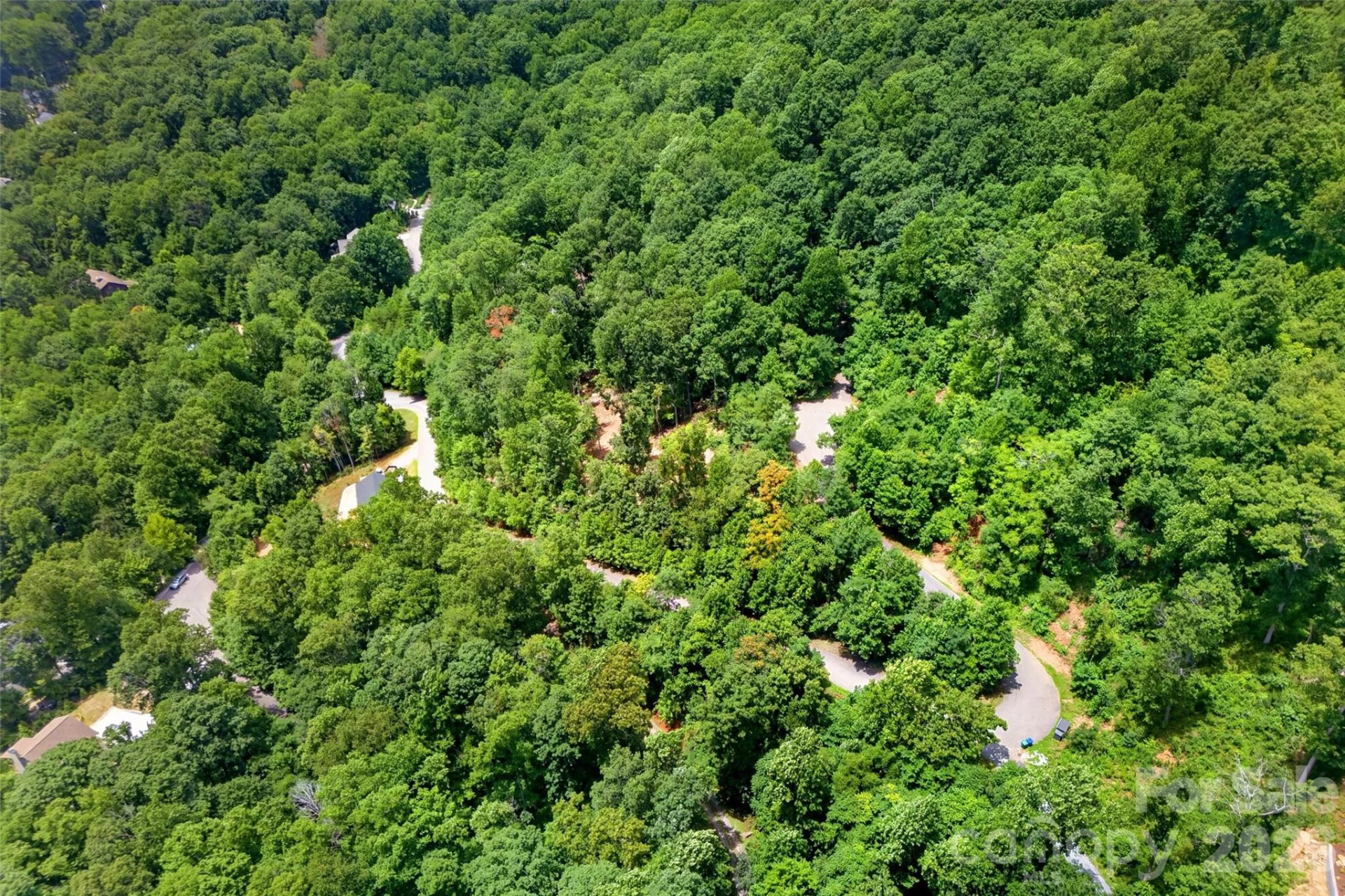 32 Nellie Bell Lane - Photo 12