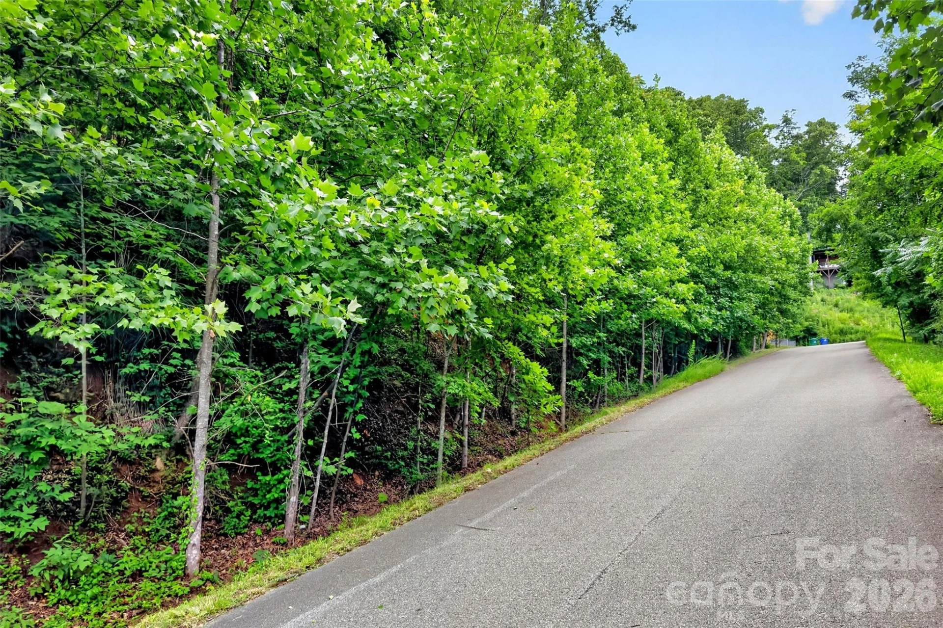 32 Nellie Bell Lane - Photo 17