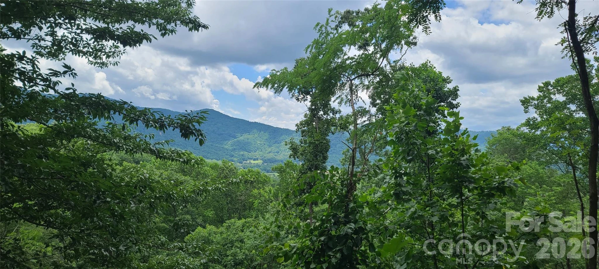 32 Nellie Bell Lane - Photo 28