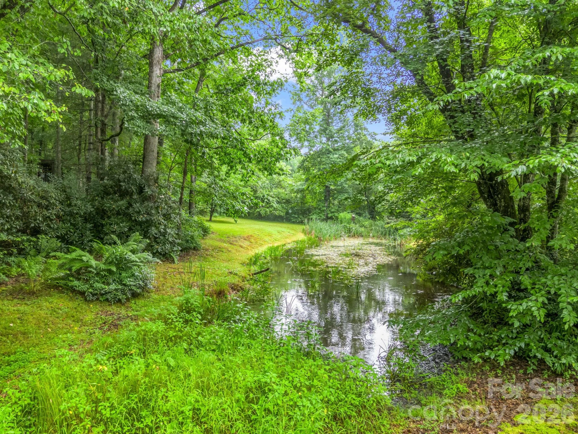 160 Sweetwater Ridge Road - Photo 43