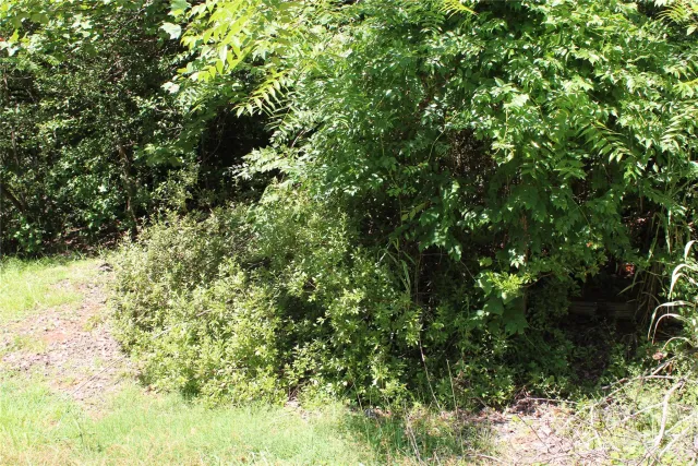 3041 Bills Creek Road, Lake Lure, NC, 28746