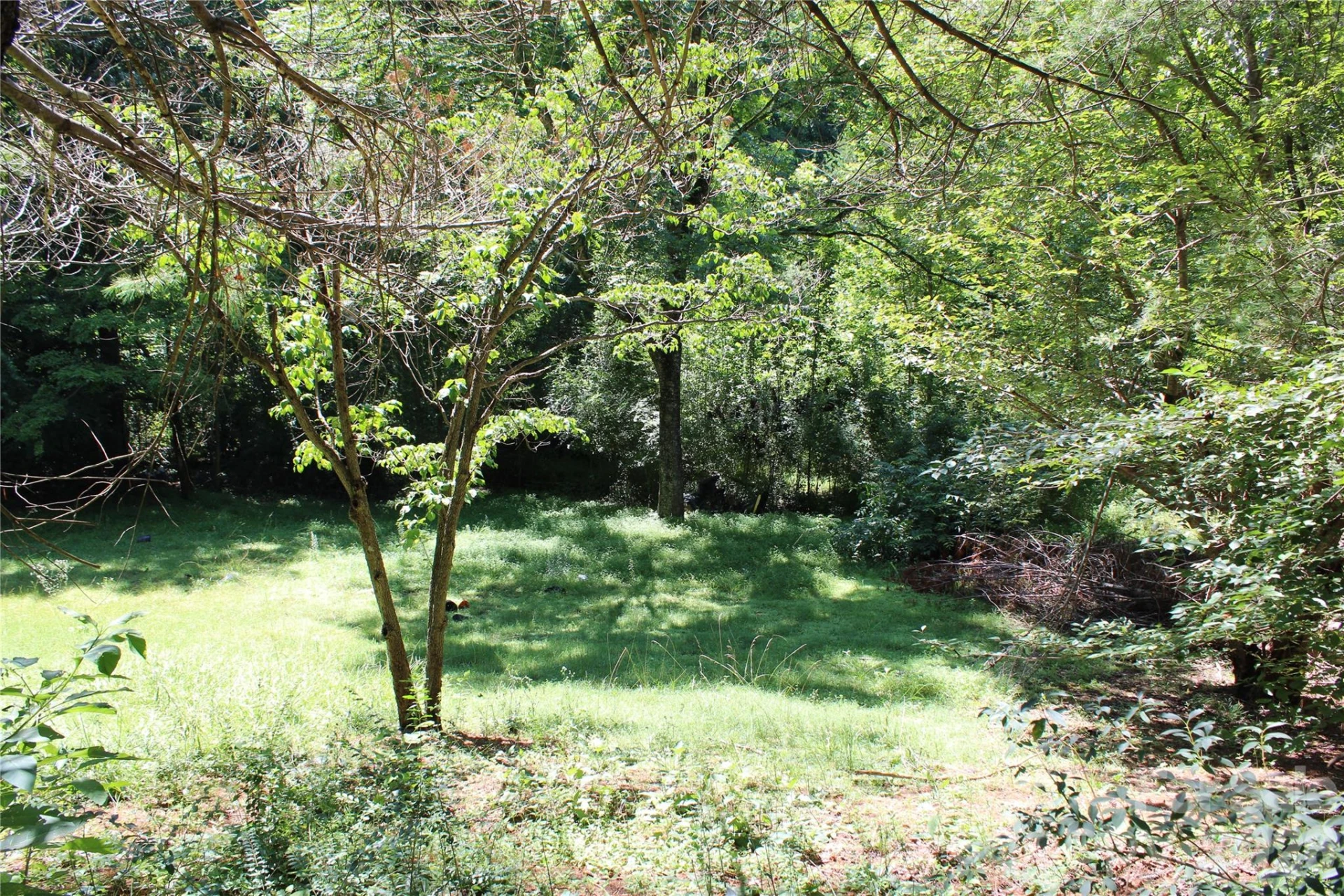 3041 Bills Creek Road - Photo 19