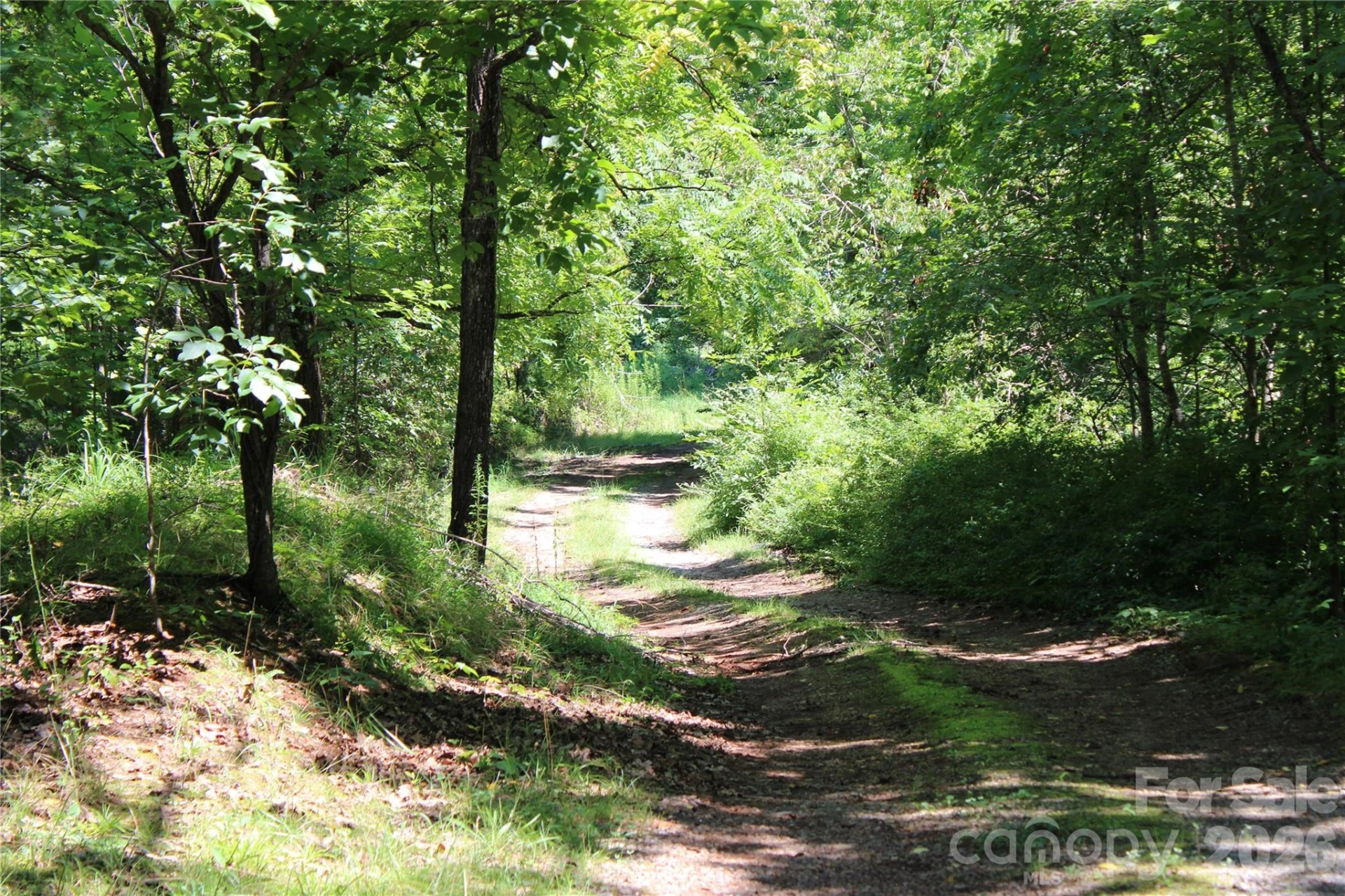 3041 Bills Creek Road - Photo 21