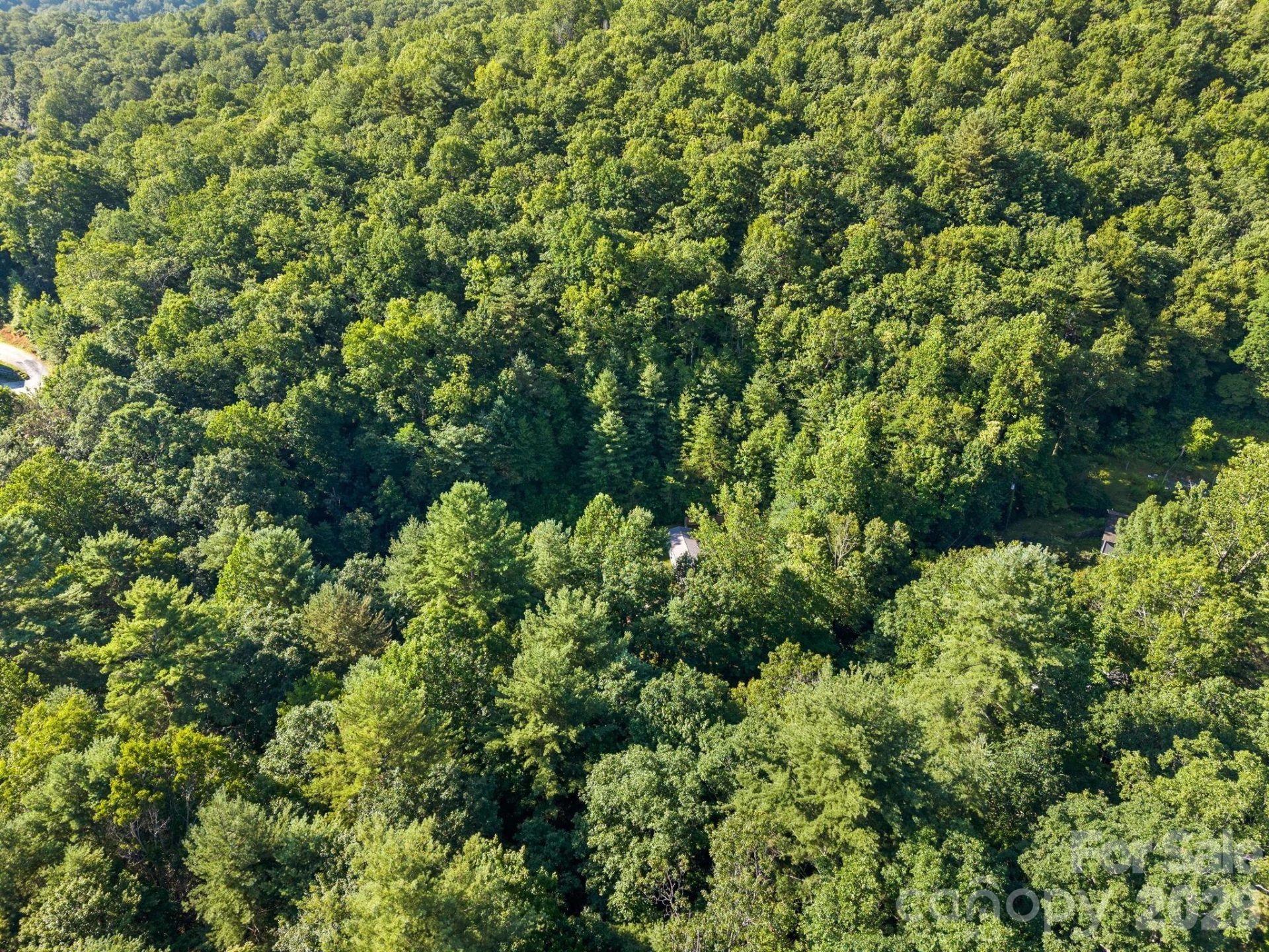 125 Ice Hollow Road - Photo 37
