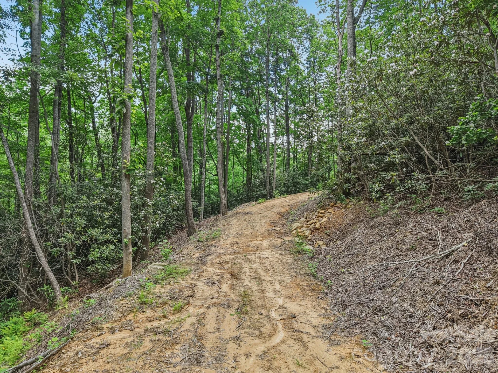 TBD Fiver Lane - Photo 11