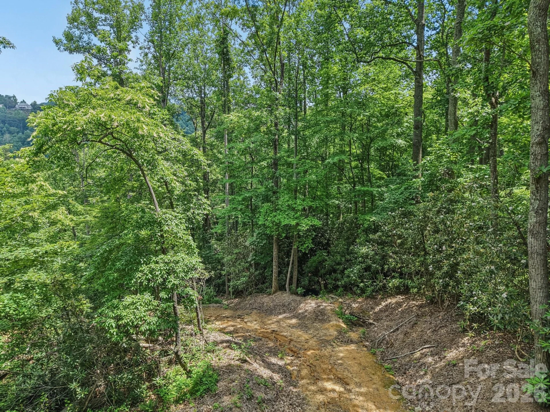 TBD Fiver Lane - Photo 12
