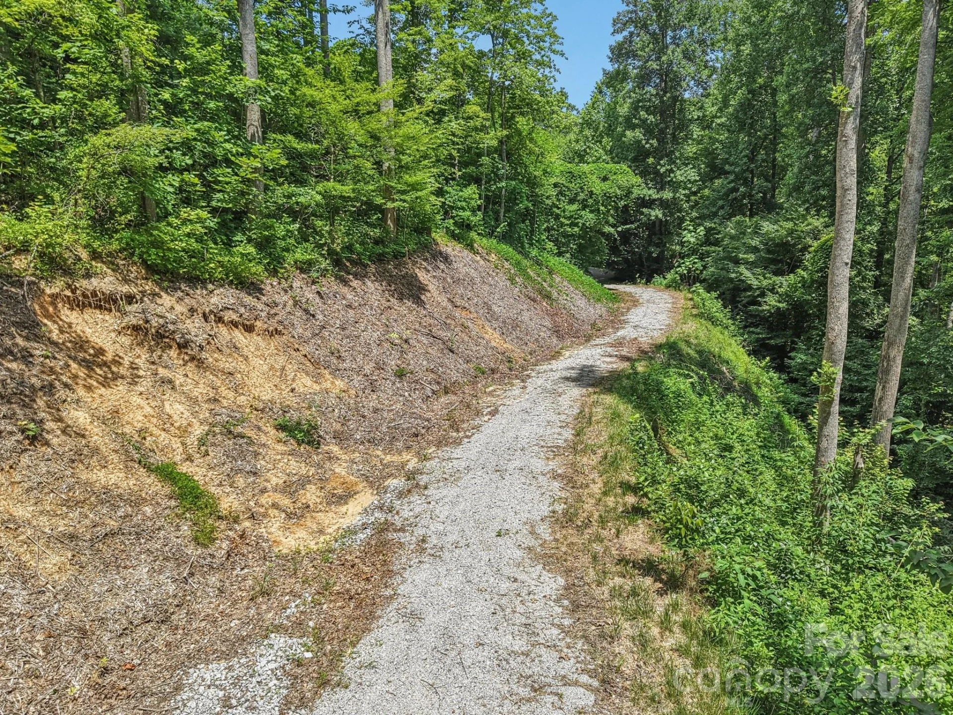 TBD Fiver Lane - Photo 9